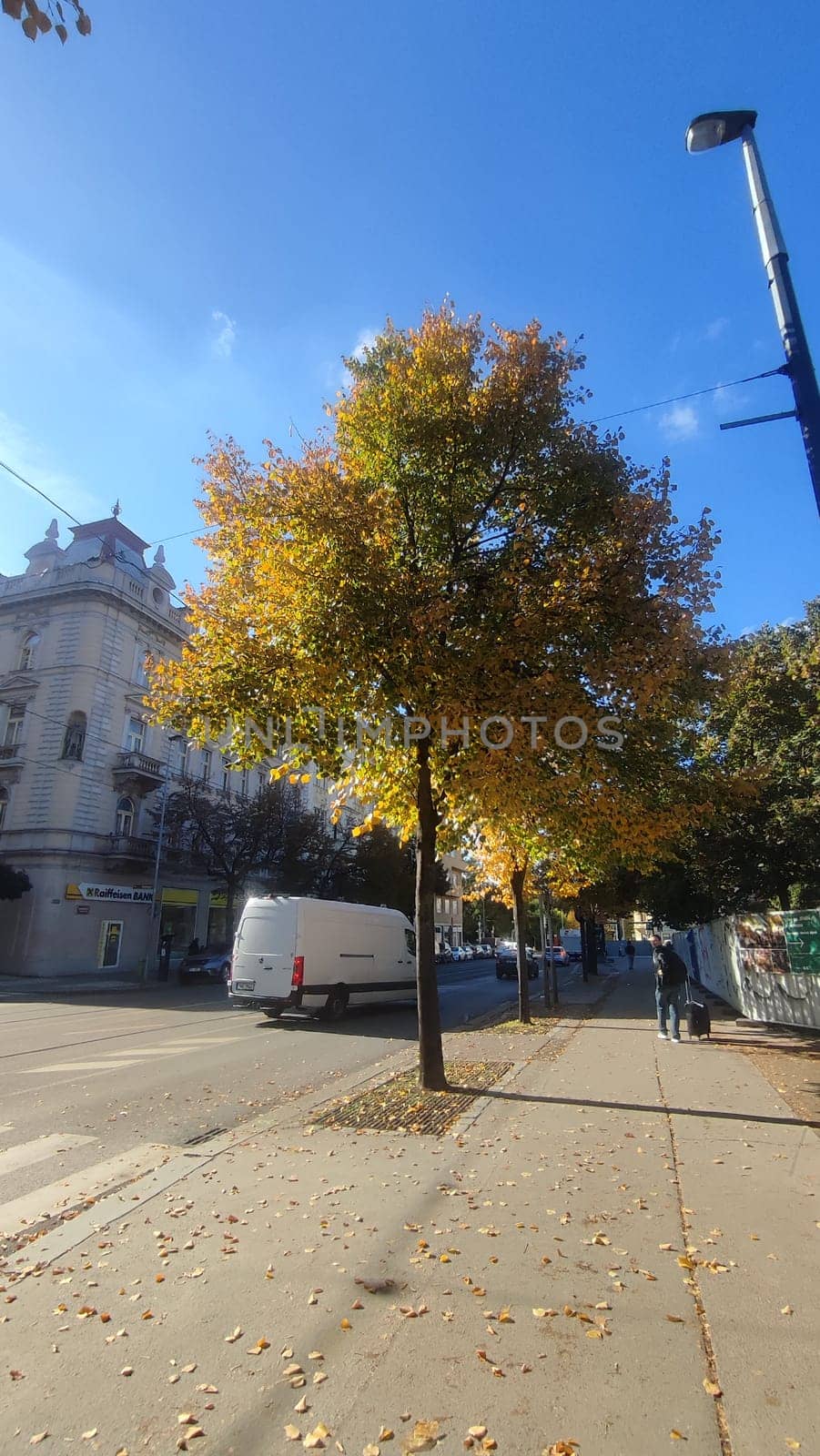 October 15 2024 Prague Czech Republic autumn architecture city street outdoor trees Tree urban street. High quality photo