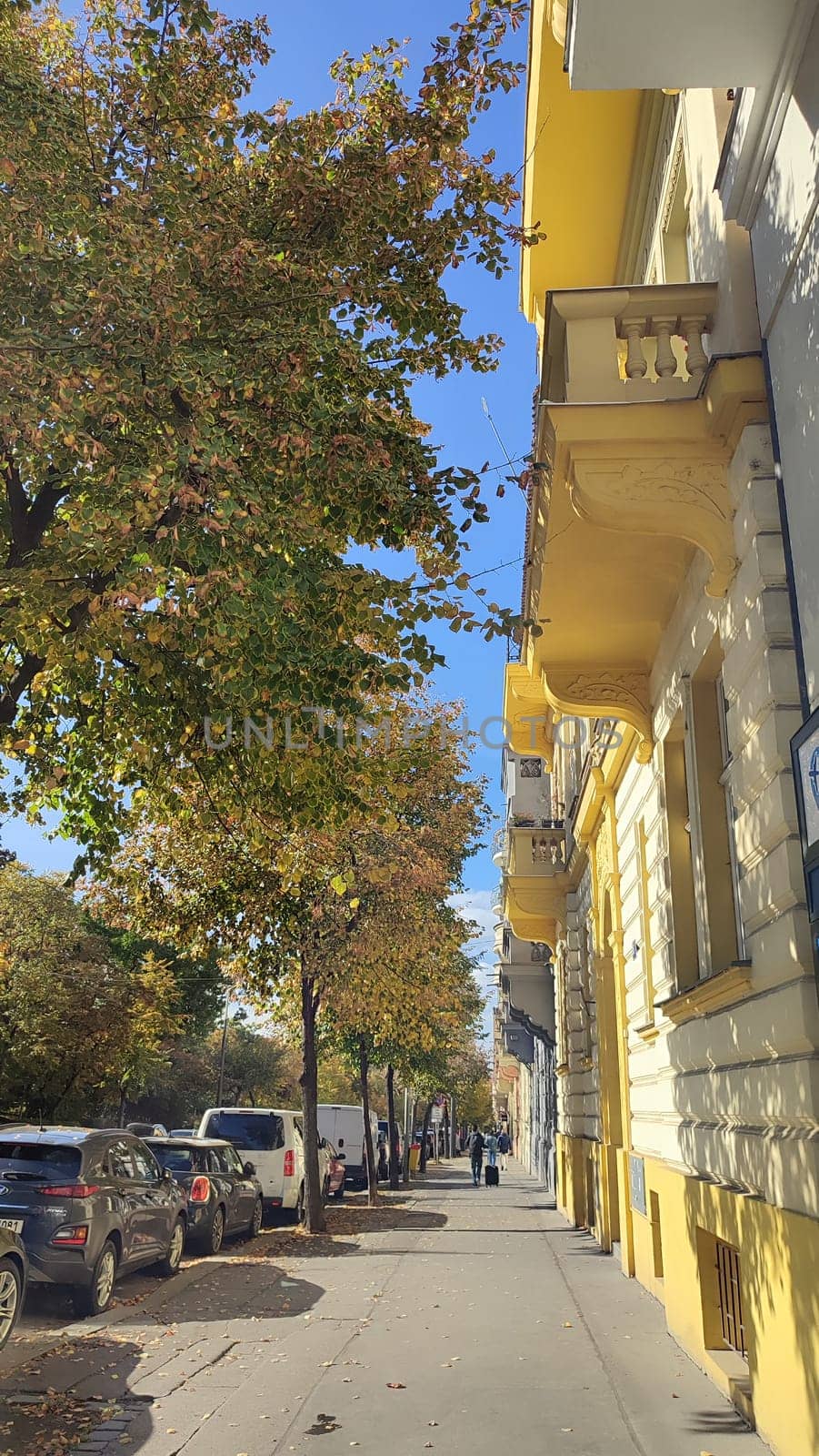 October 15 2024 Prague Czech Republic Europe Sunny autumn street architecture trees building yellow wall cars. High quality photo editorial