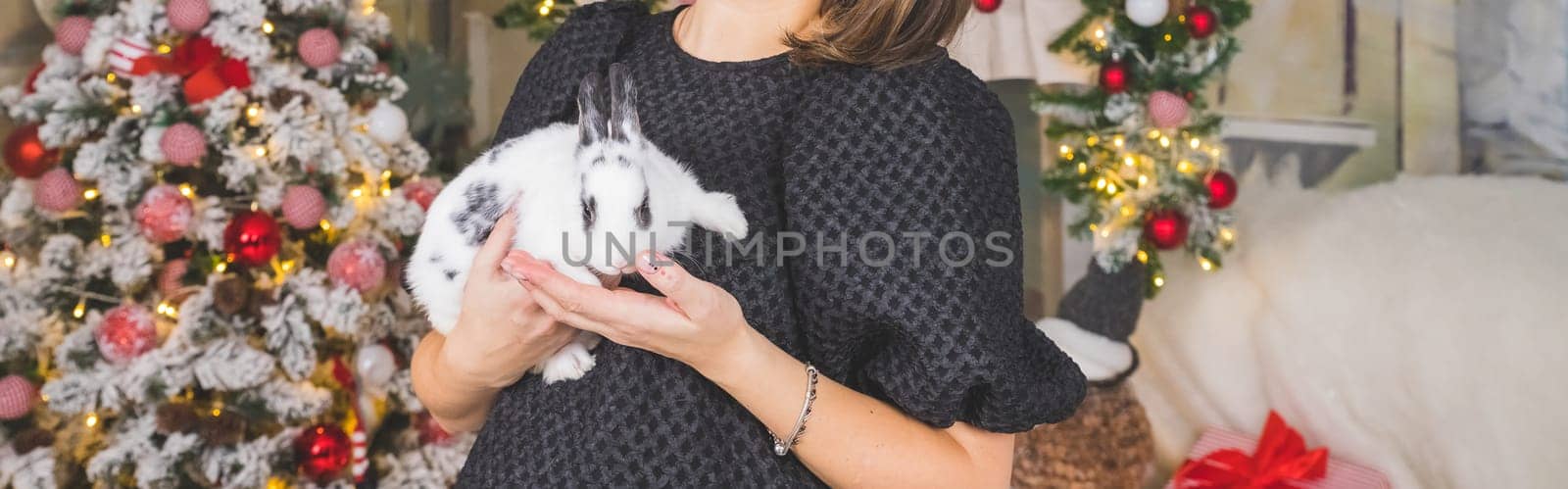 close-up view of the woman hands with the rabbit. holding cute furry rabbit. Friendship with Bunny. cute fluffy pet.