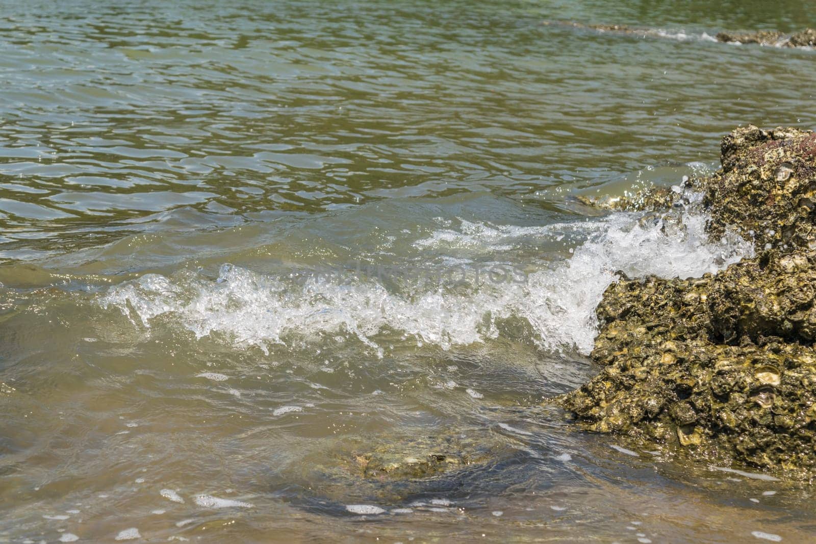 Landscape of travel place with nature at a beach and tropical sea have a reef and rock beach with oyster shell