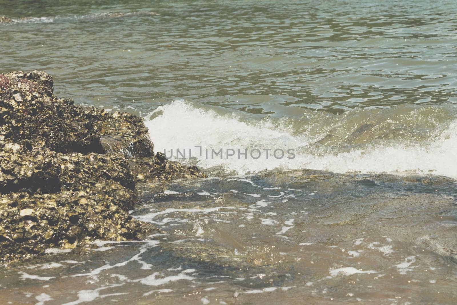 Landscape of travel place with nature at a beach and tropical sea have a reef and rock beach with oyster shell