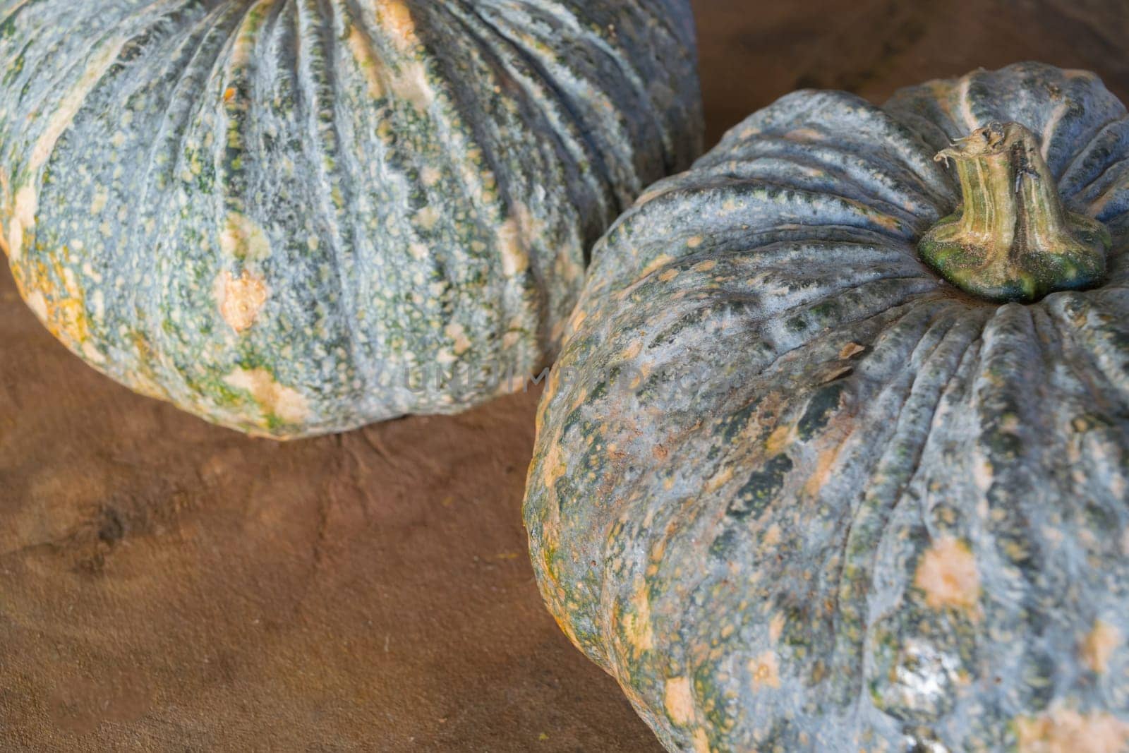 Pumpkin is a fresh vegetable have a green and yellow color on a wooden table