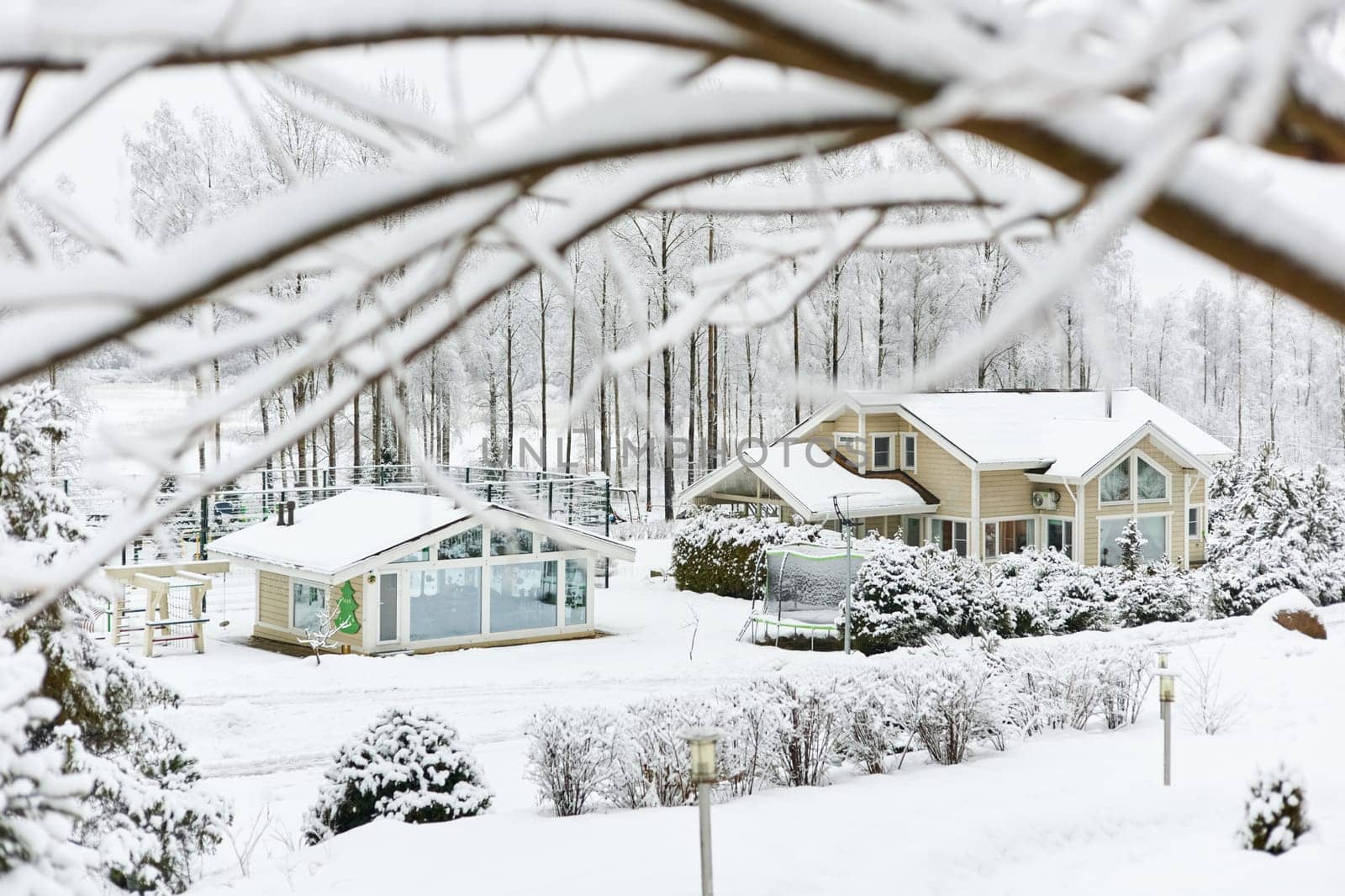 beautiful country house in a snowy pine forest, night lighting, winter fairy tale. High quality photo