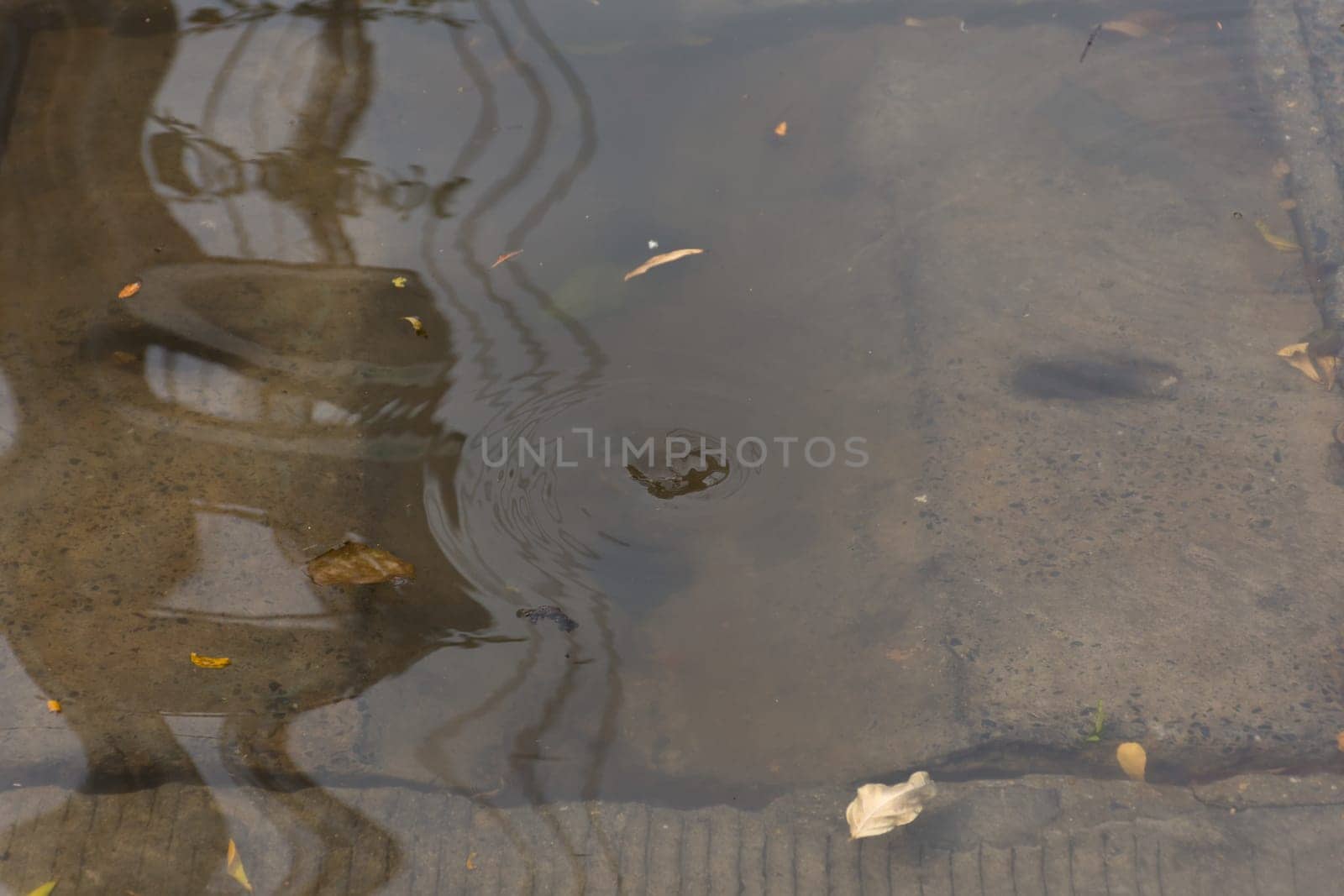Water flood village. Problem with the drainage system.