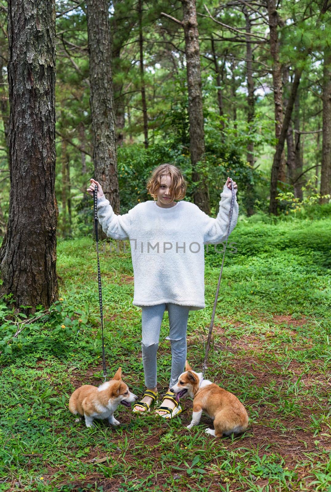 Little kid girl walking with her corgi dogs in the forest
