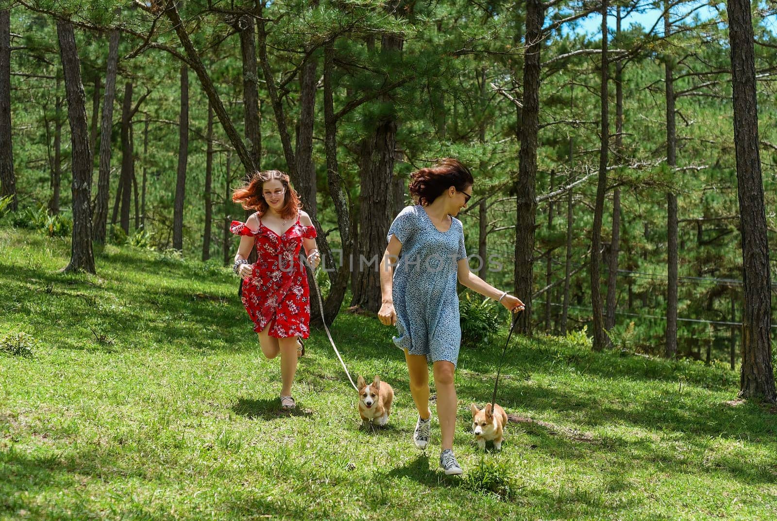 Mother and her daughter running with her corgi dogs in the forest