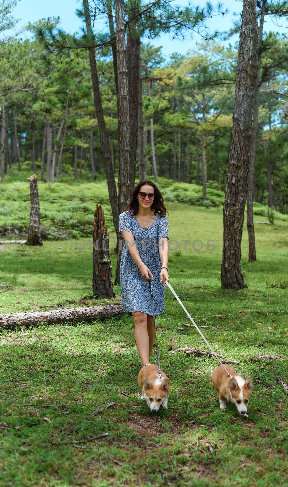 Young woman walking with her corgi dogs in the forest