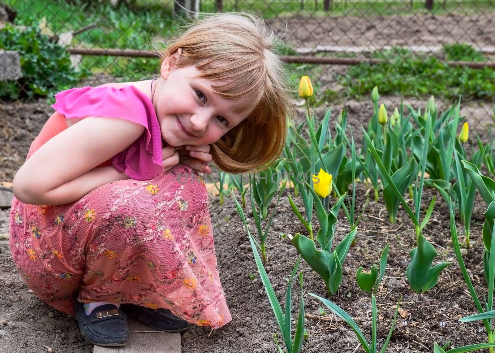 Pretty little girl smiling shyly and sitting next to the bed of yellow tulips on a spring March day in village