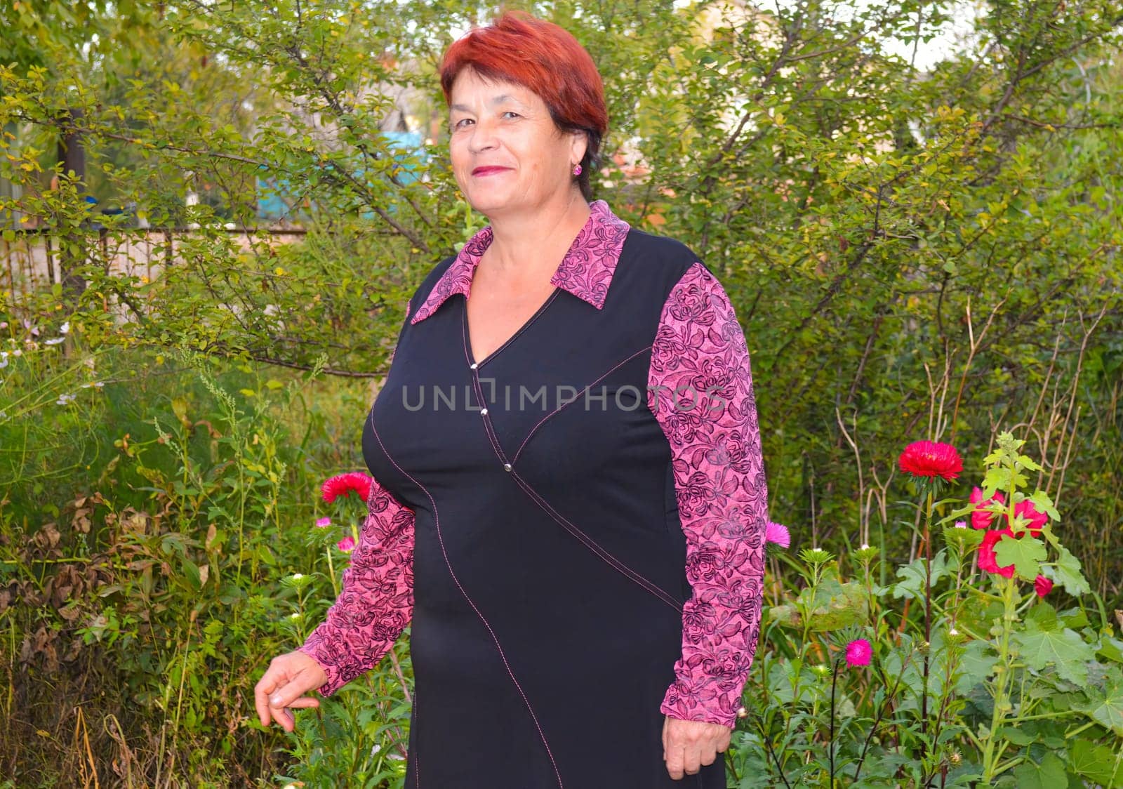 Elderly good-looking woman in dress smiling and standing near beautiful pink and red asters.