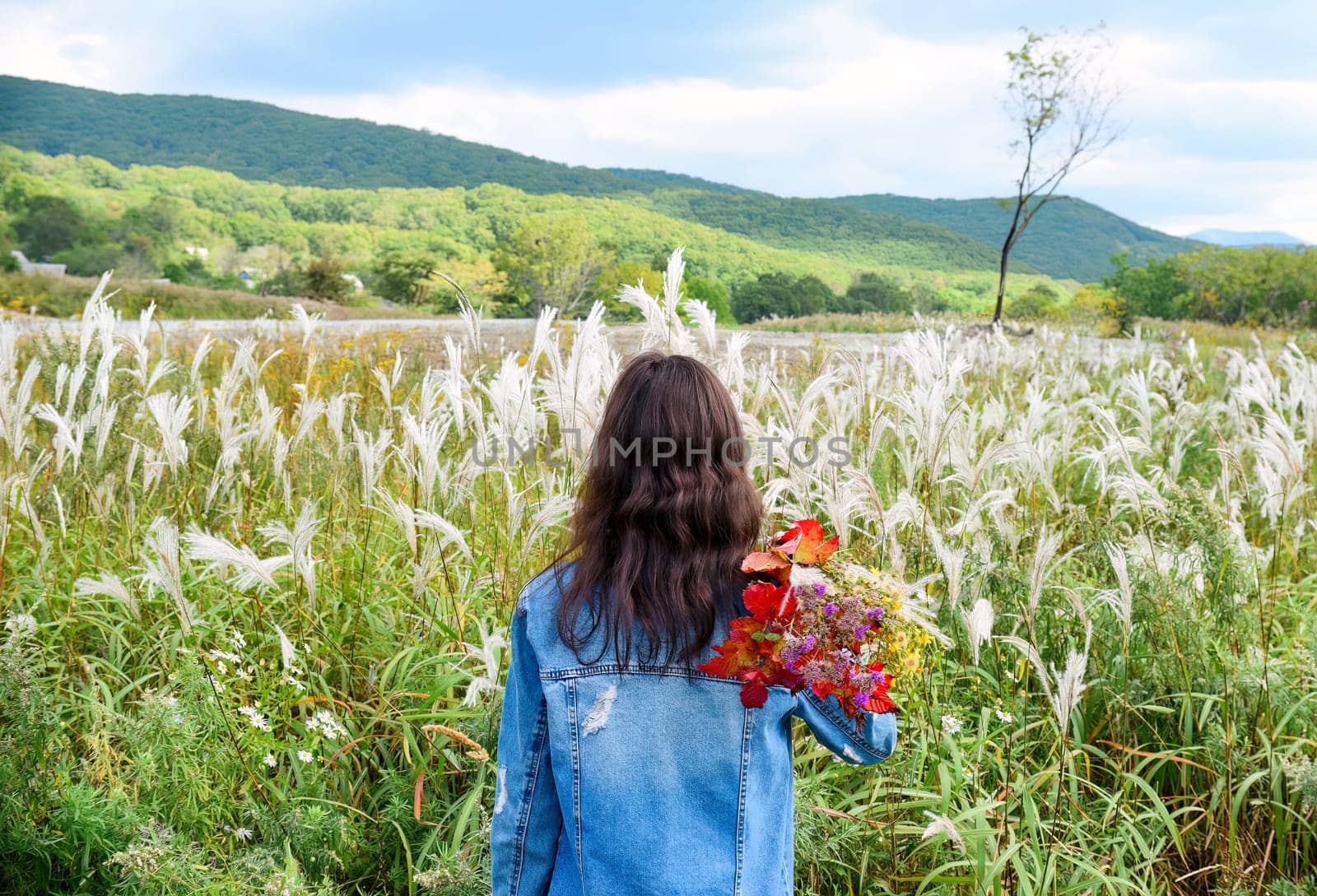 Young woman holding bouquet of autumn wildflowers and branches with red leaves on her shoulder, standing with her back to the camera and looking at field of Miscanthus sinensis (Chinese silver grass).