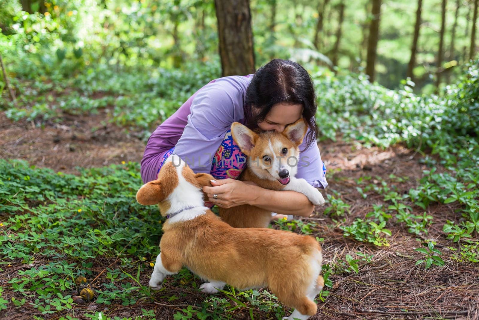 Young woman hugging her two corgies dogs in the forest