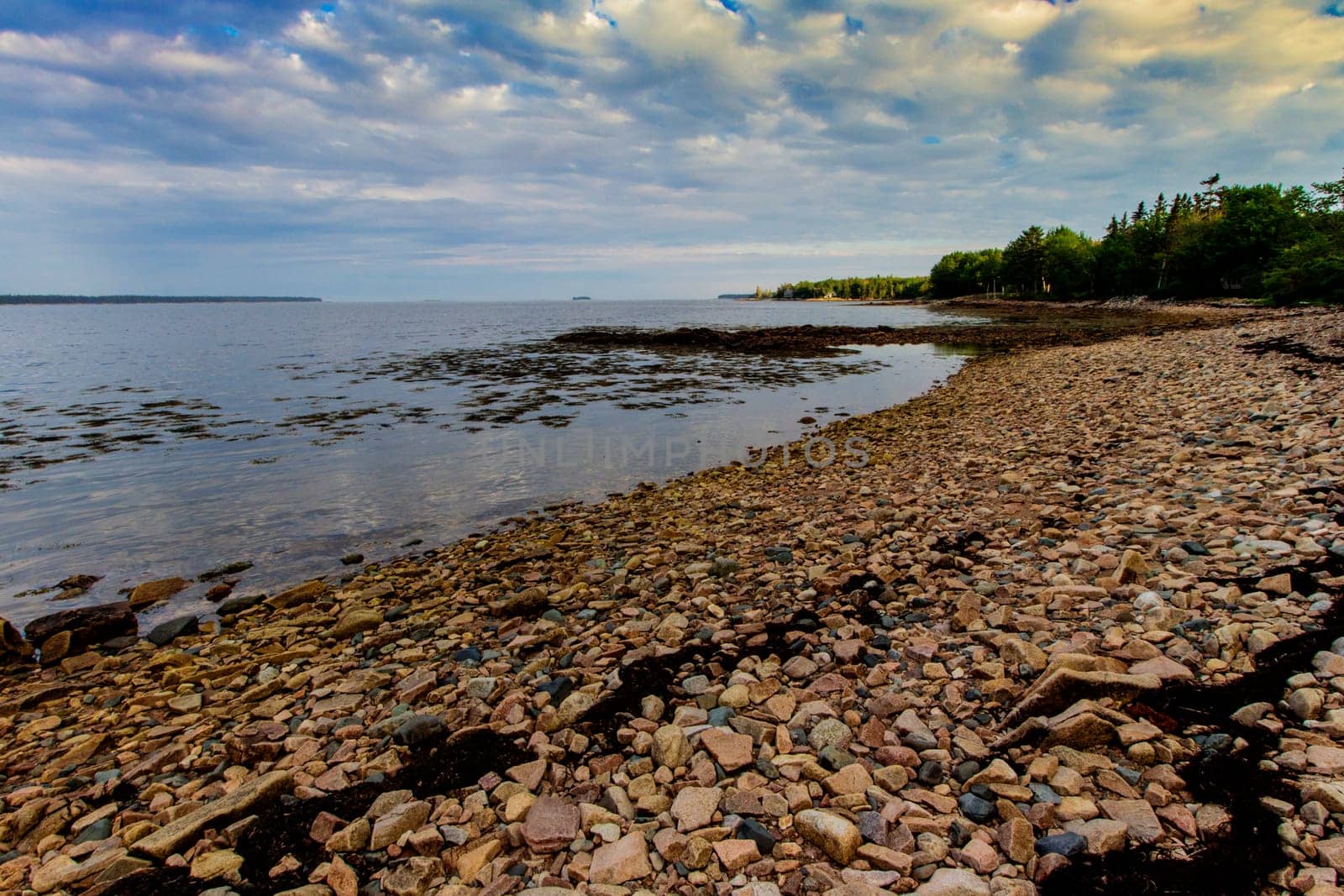 Views of Gouldsboro Bay, Maine