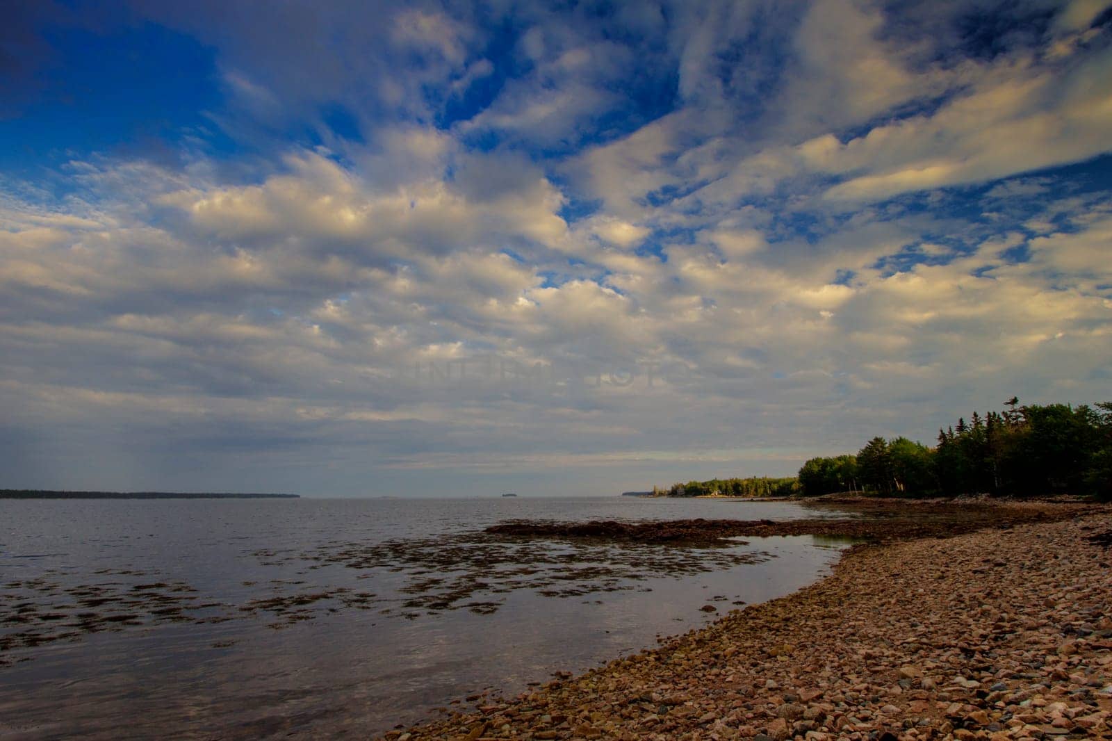 Views of Gouldsboro Bay, Maine