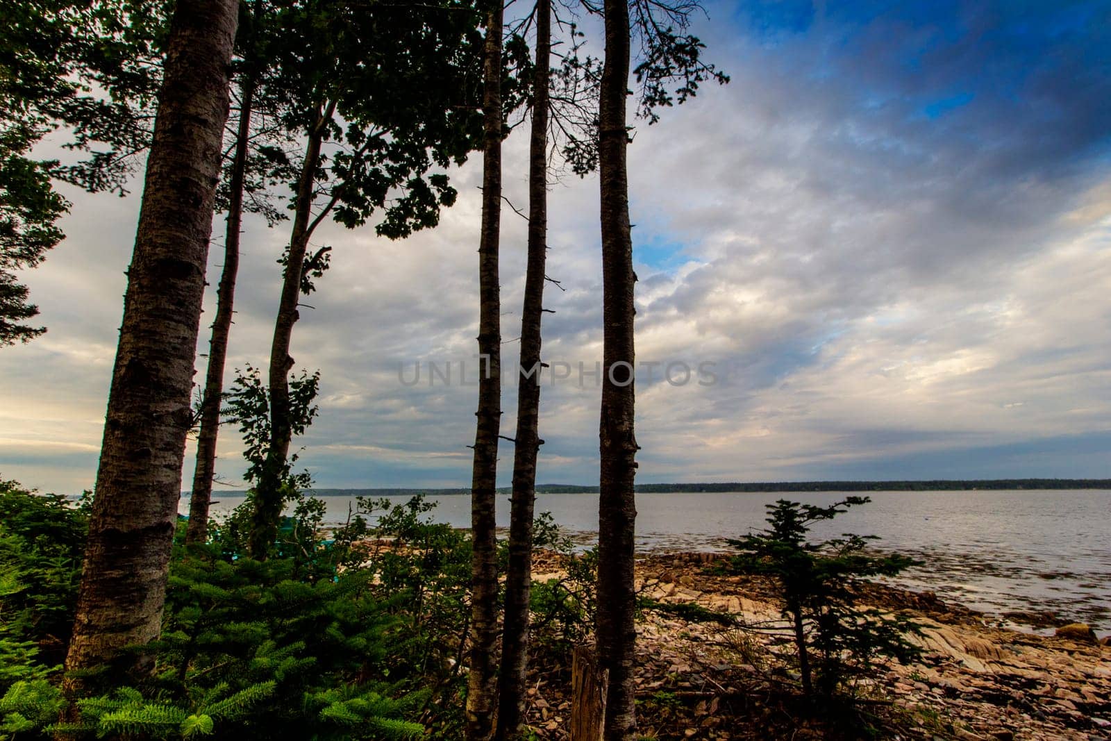 Views of Gouldsboro Bay, Maine