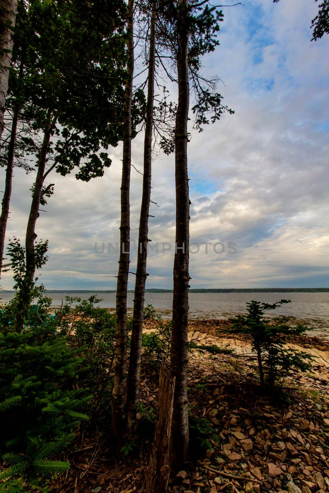 Views of Gouldsboro Bay, Maine