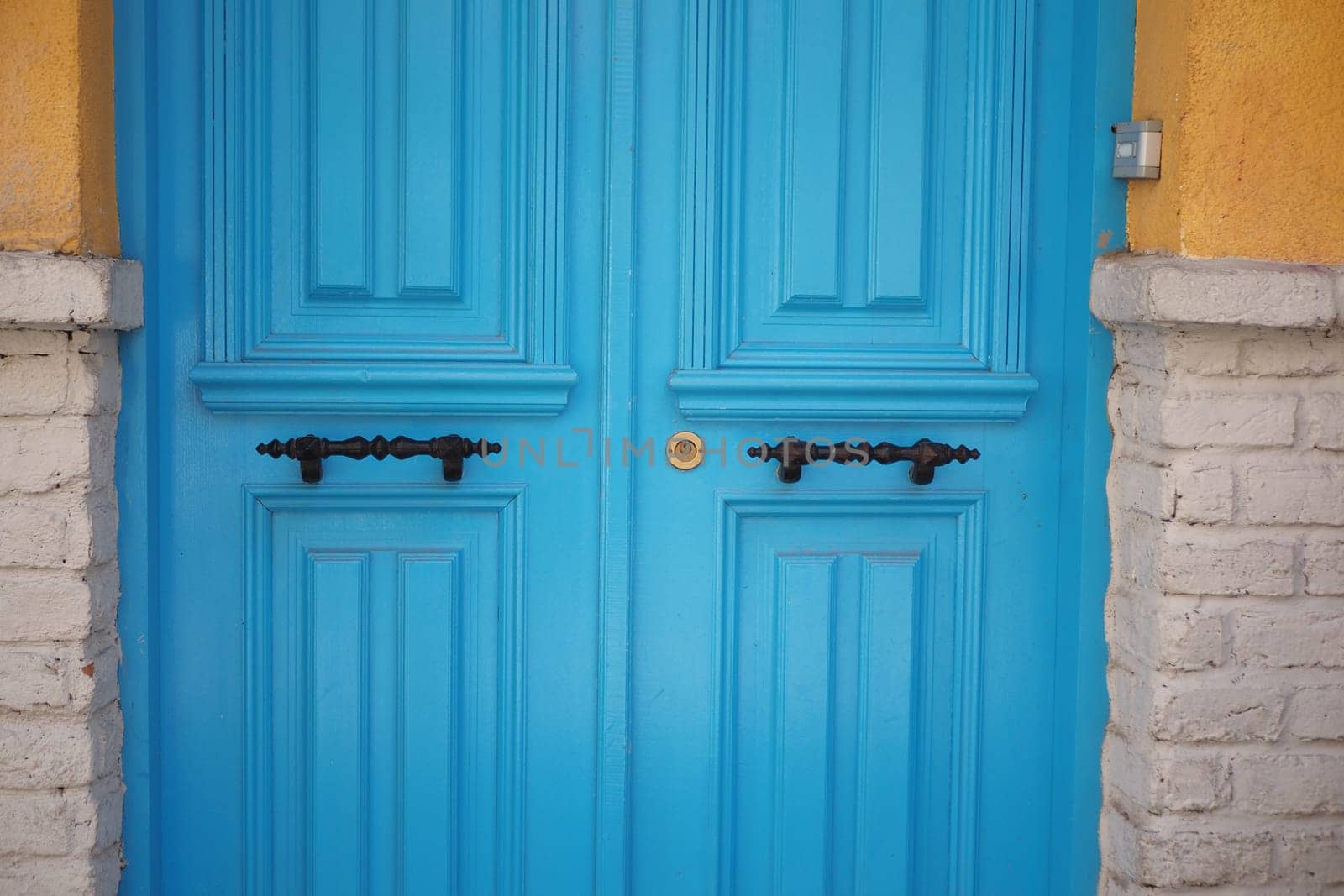 Front view of a bright blue door with intricate black handles and trim.