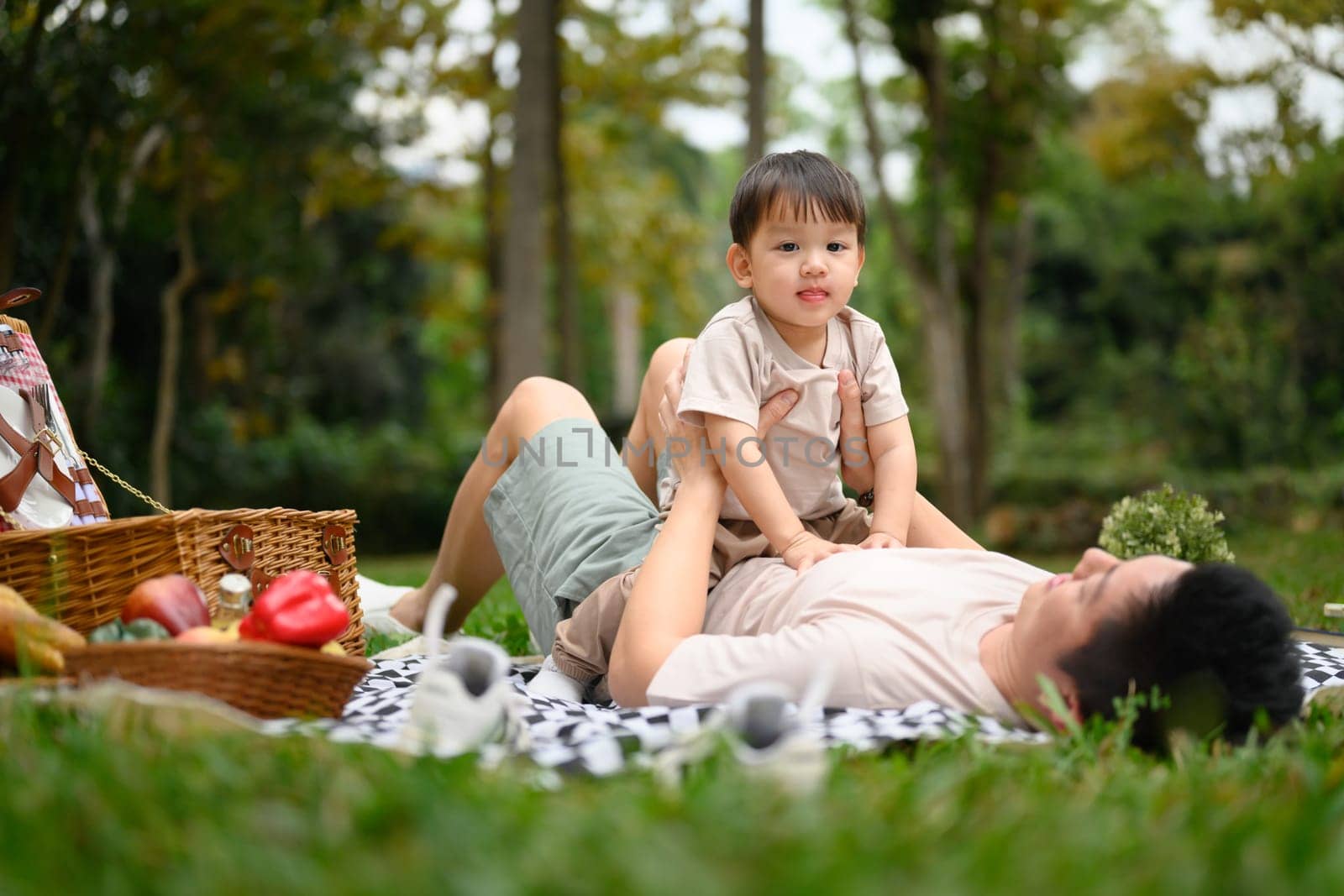 Smiling father lying on a picnic blanket in a lush green park with his cute little son.