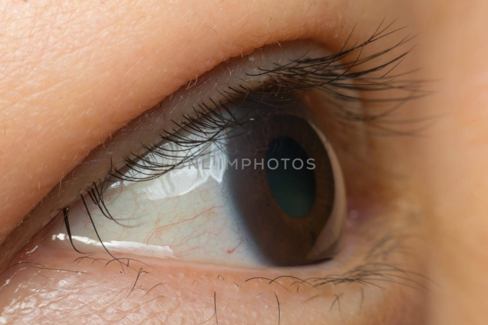 Macro of eye black color of asia human