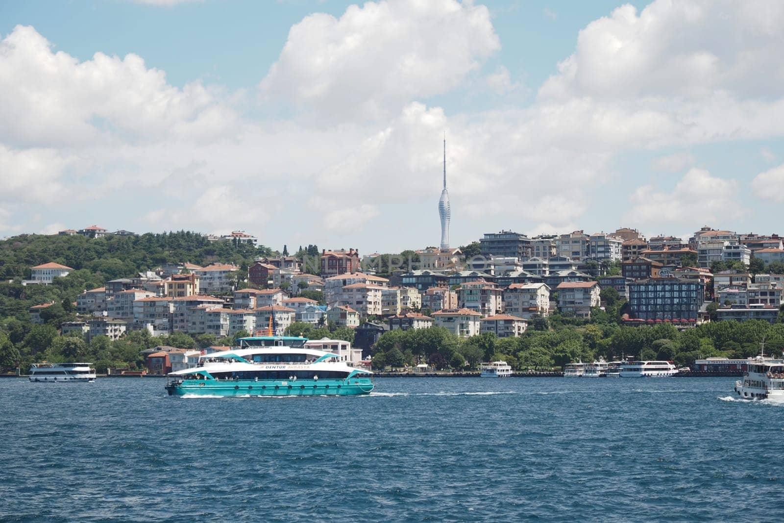 A ferry glides by Istanbul's green shoreline under clear skies.