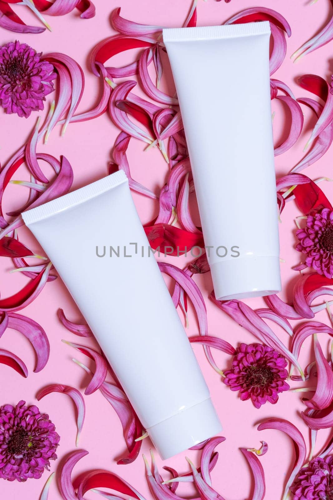 Natural cosmetic products with white bottles and fresh flowers on pink background, Beauty and skin, hair or body care concept, space for mockup