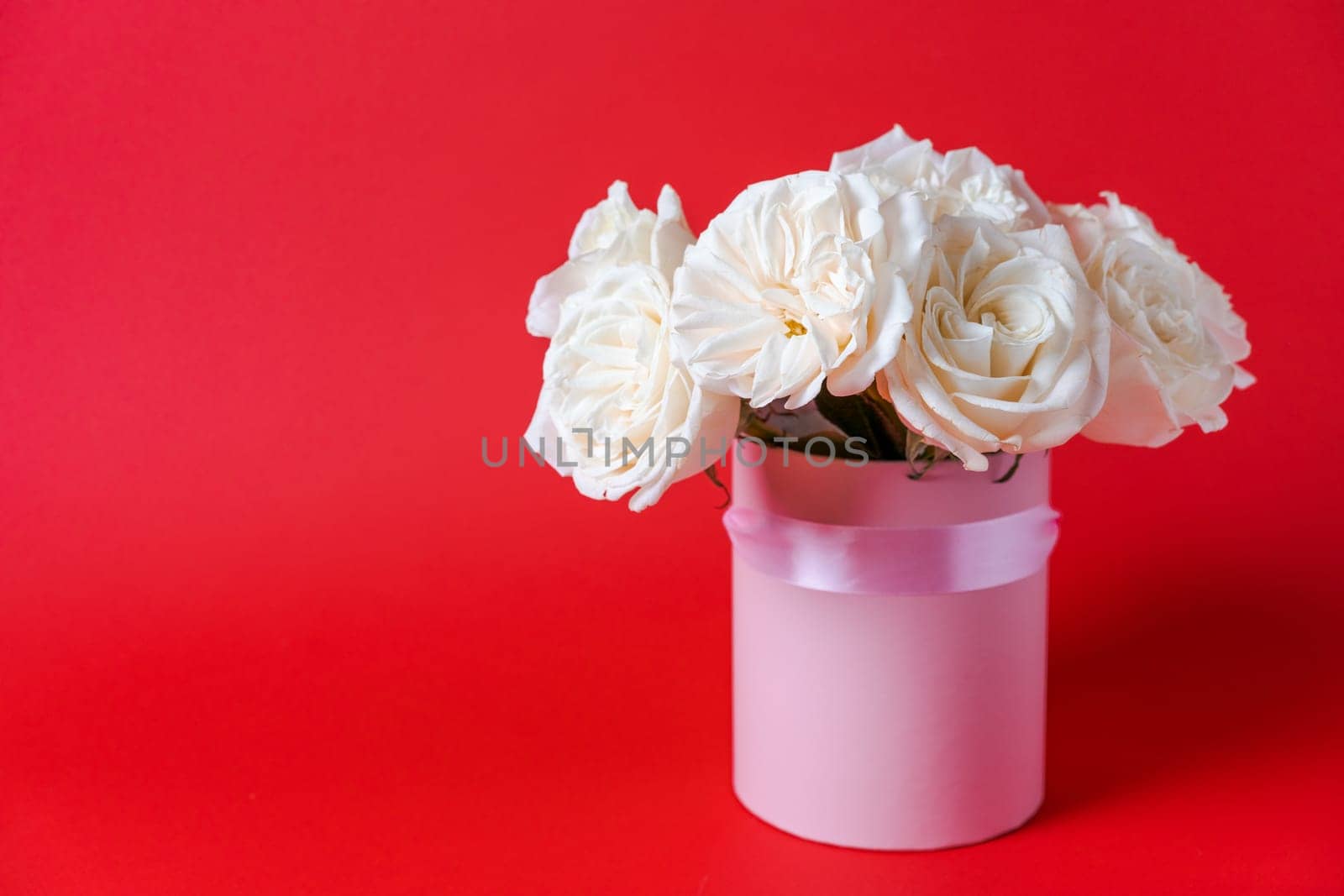 White roses in red gift box isolated on red background. Burgundy roses for Mother's Day. Flowers March 8. Happy women's day. Birthday bouquet