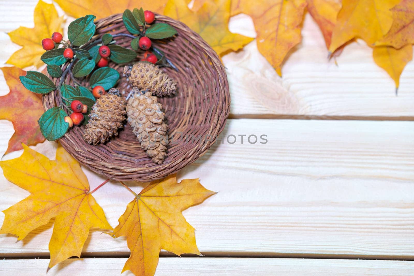 Nature, season and botany concept frame of dry autumn leaves, cones in a basket and red berries on a light wooden background, autumn postcard