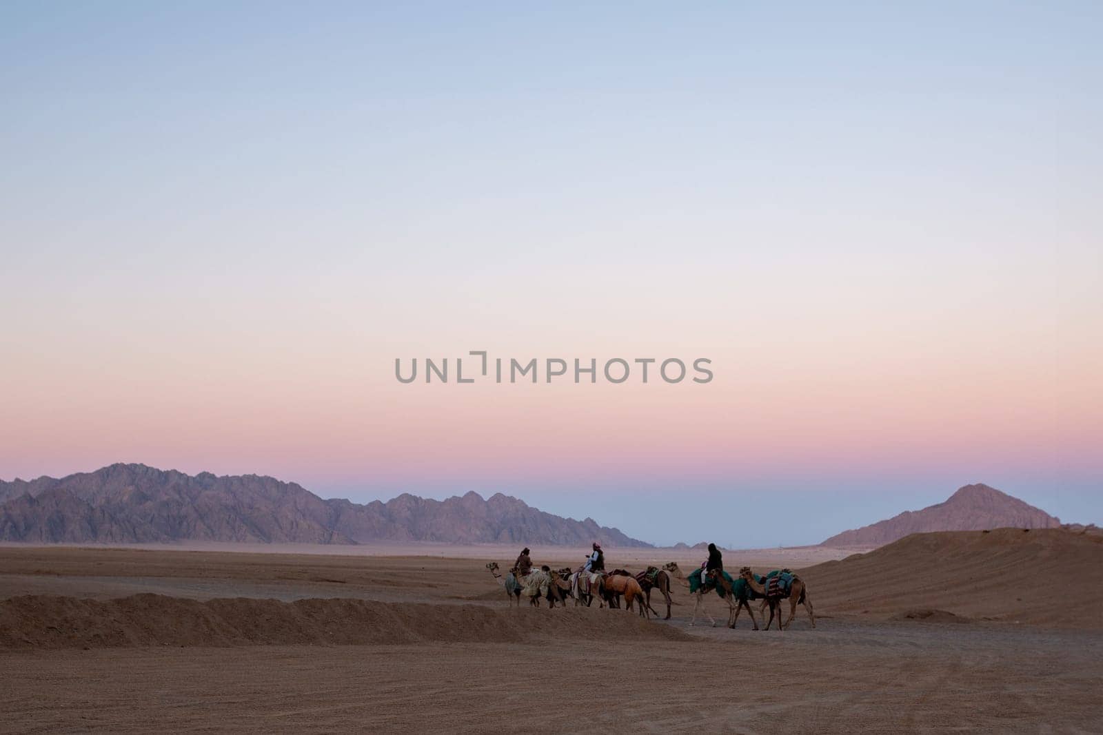 A caravan with camels goes through the desert.