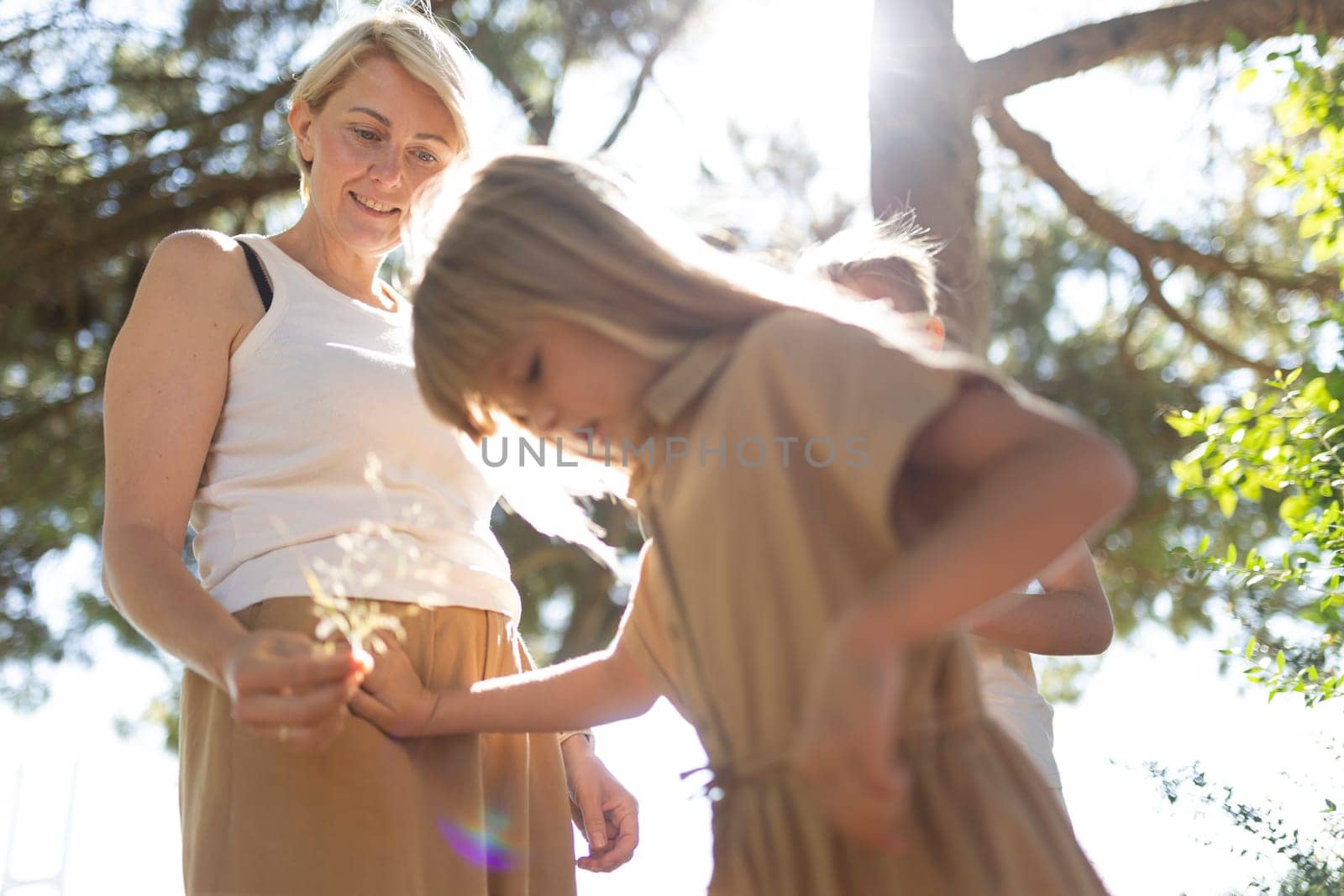 Family exploring outdoors on a sunny day in the forest