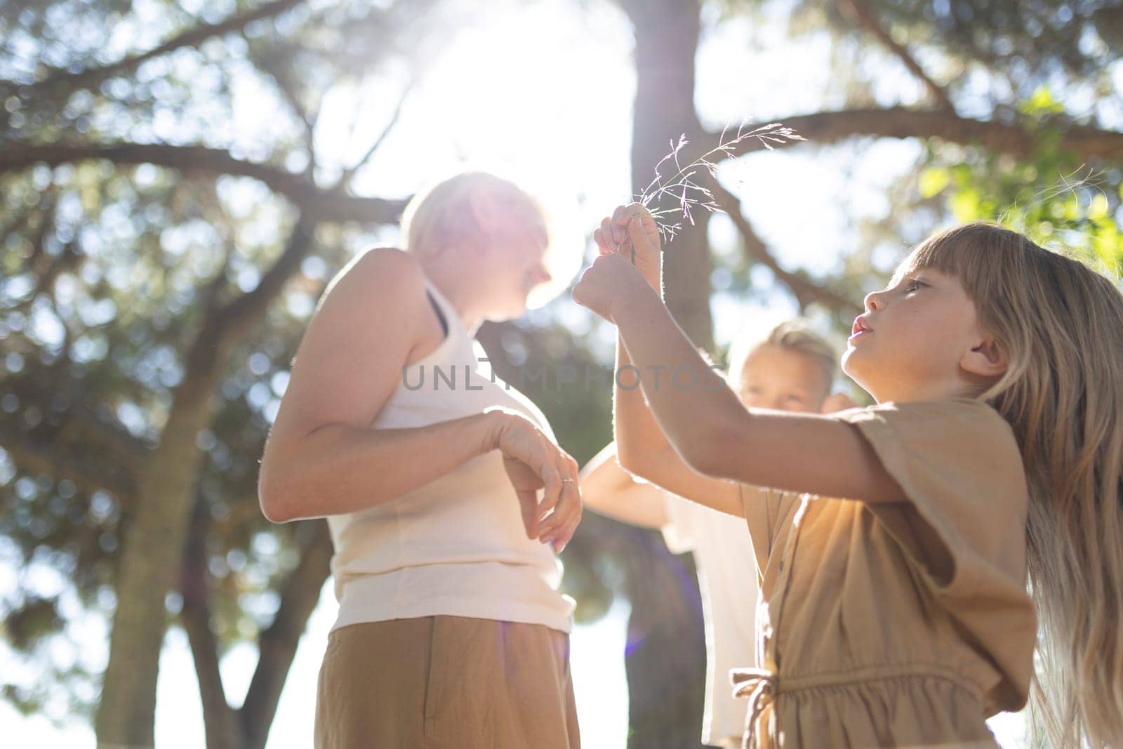 Kids exploring nature together under sunlight in a forest setting