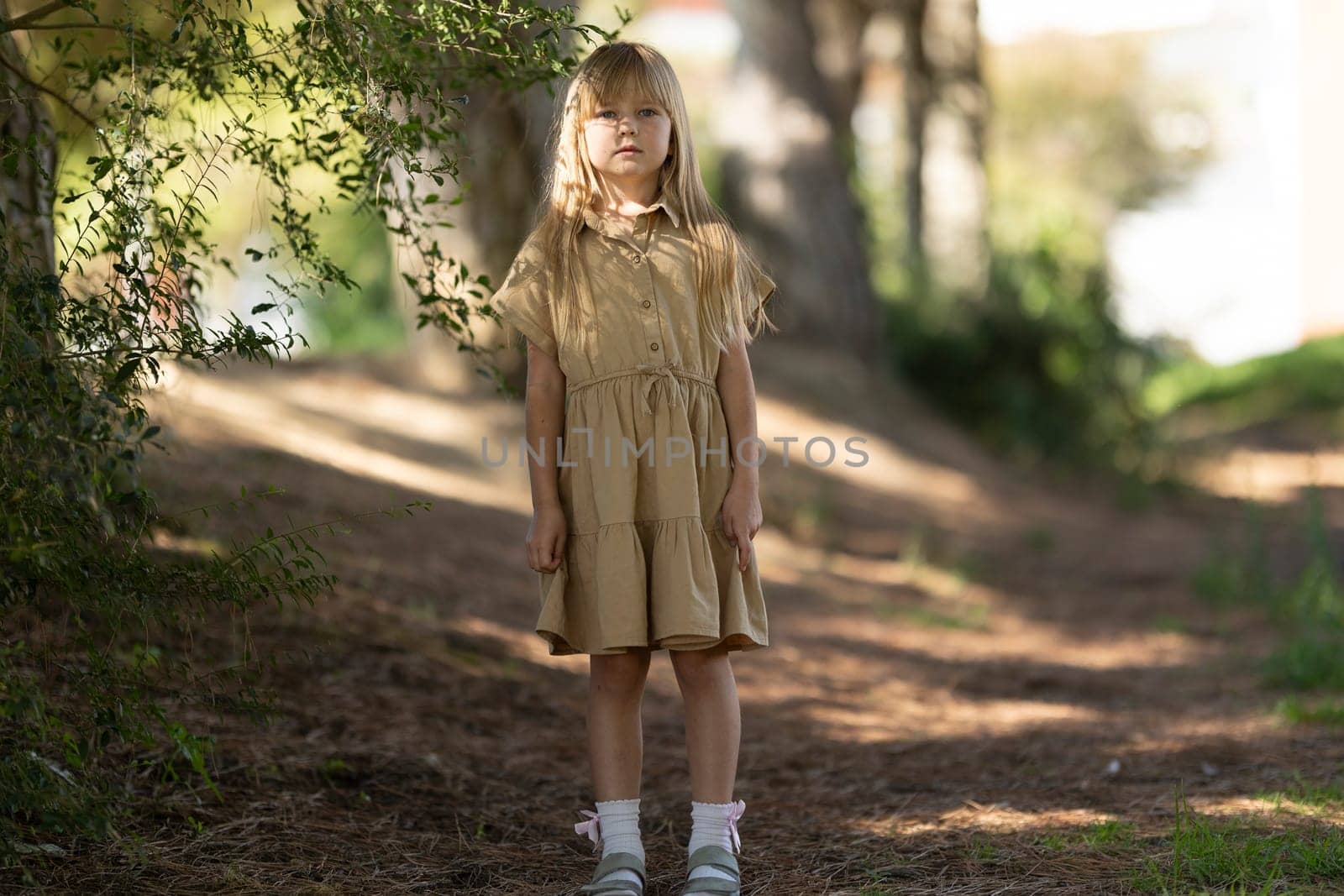 Young girl stands on a sunlit forest path surrounded by trees