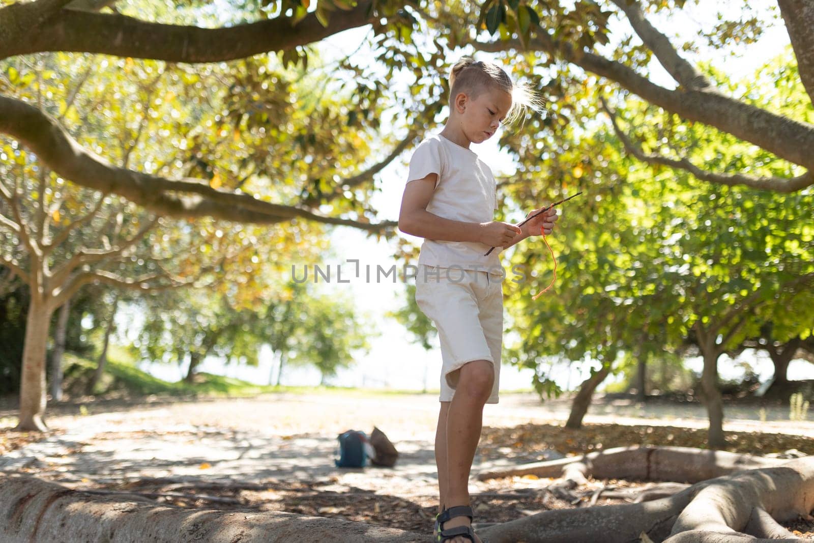 Boy focused on tablet under tree in sunny park