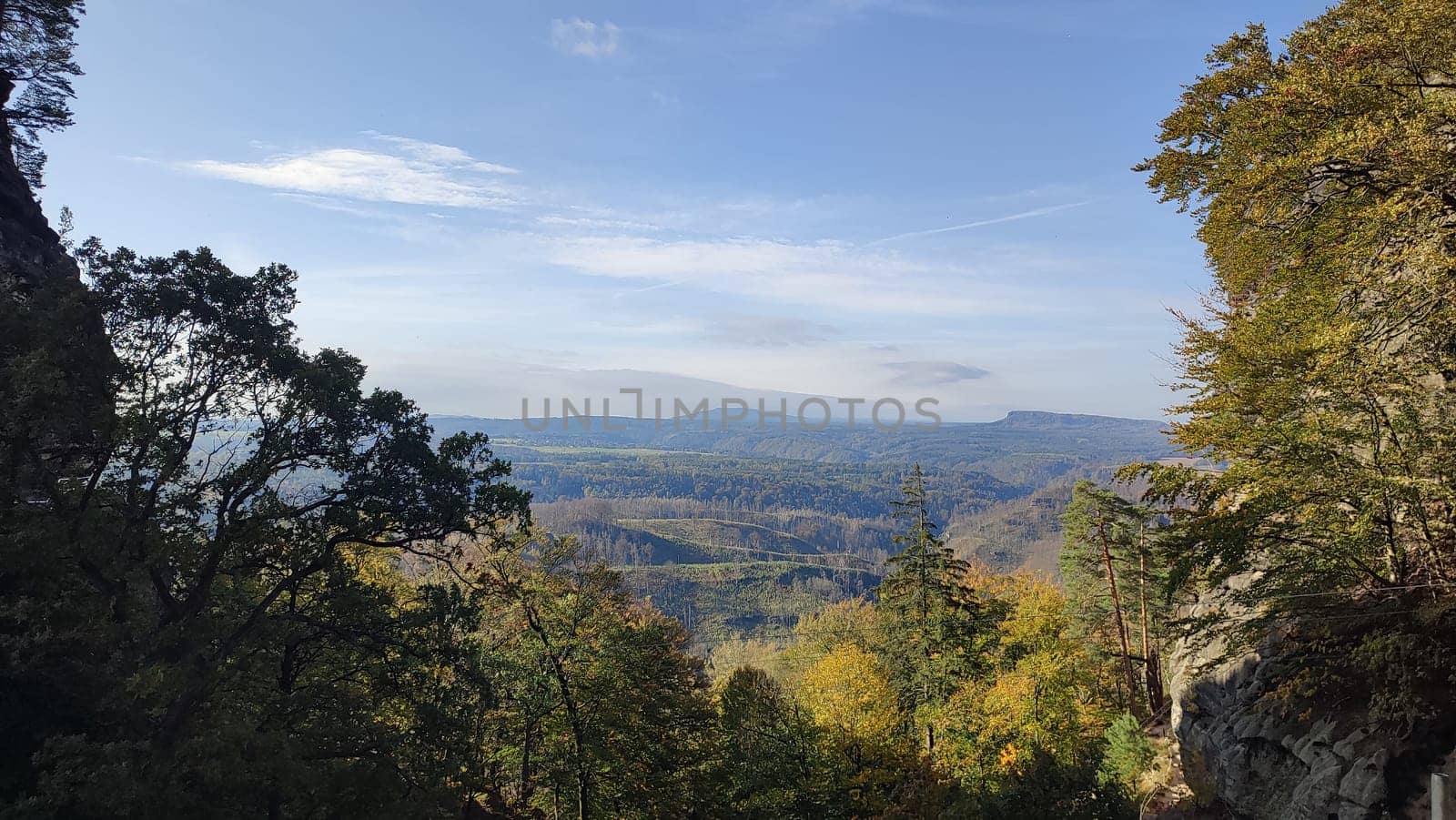 green nature summer autumn day rock forest travel trees landscape park background blue sky . High quality photo