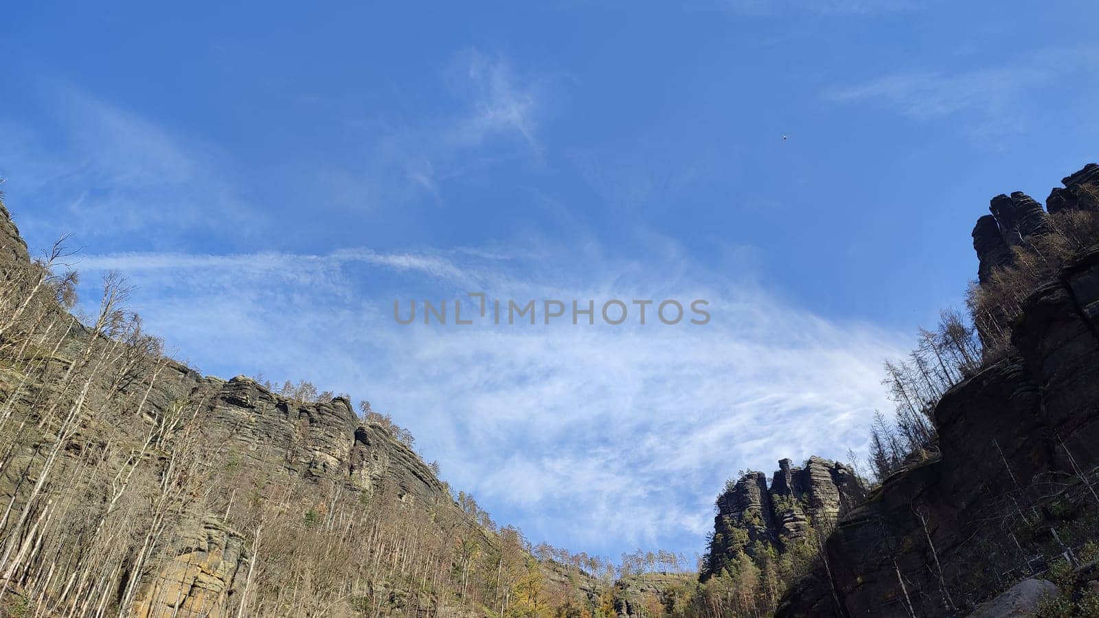 green nature summer autumn day rock forest travel trees landscape park background blue sky . High quality photo Czech Republic Europe
