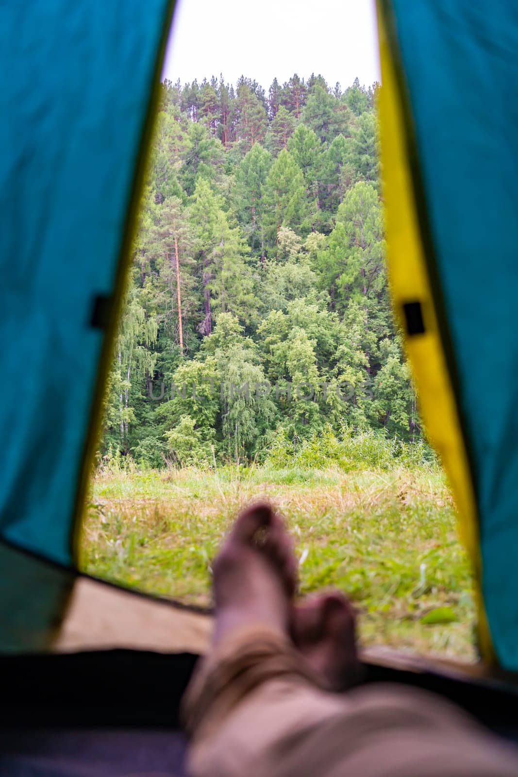 Camper relaxing inside tent, resting legs while gazing through mesh at verdant forest landscape, experiencing peaceful wilderness moment