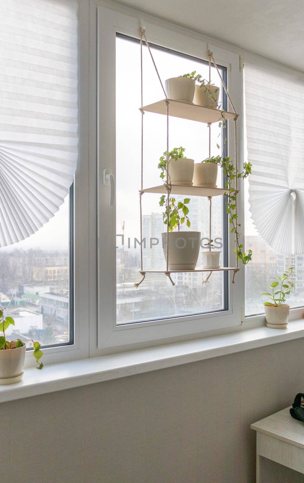 Decorative shelf with flower pots on it by the window
