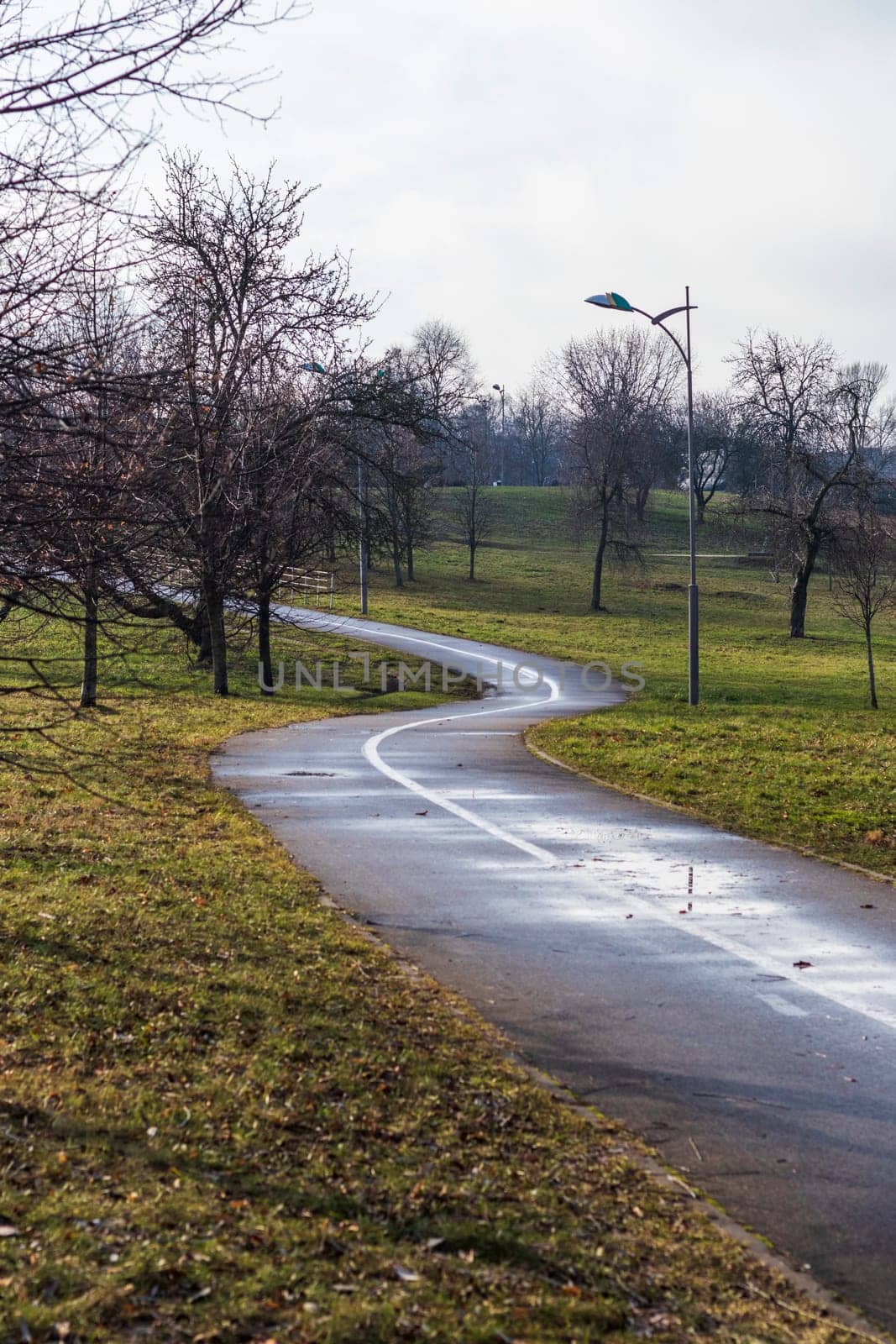 Jogging, walking, cycling path in the park