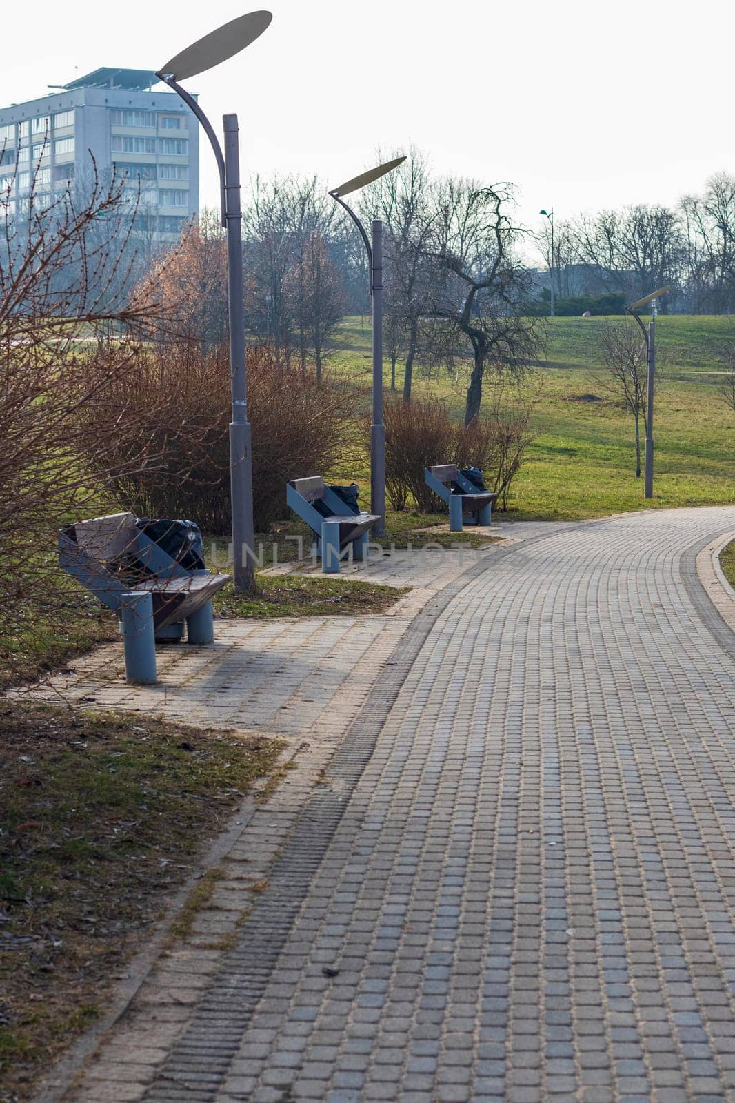 Shot of the benches in the park