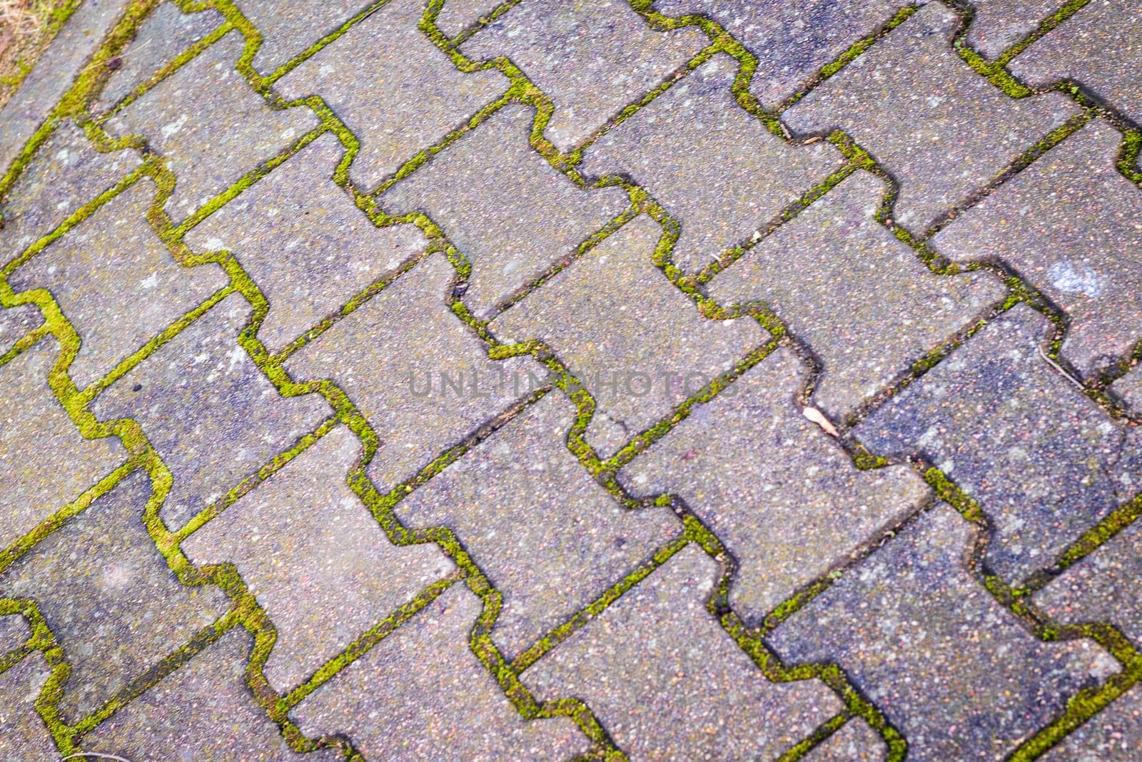 Shot of the old interlock bricks with grass between them