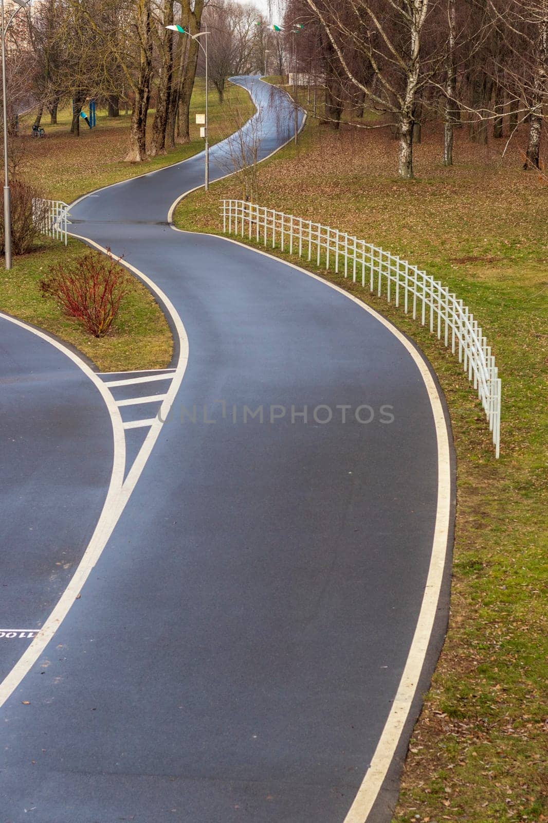 Jogging, walking, cycling path in the park