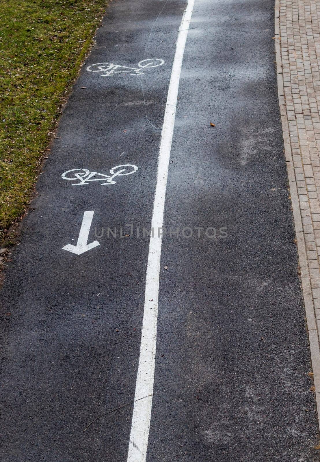 Jogging, walking, cycling path in the park