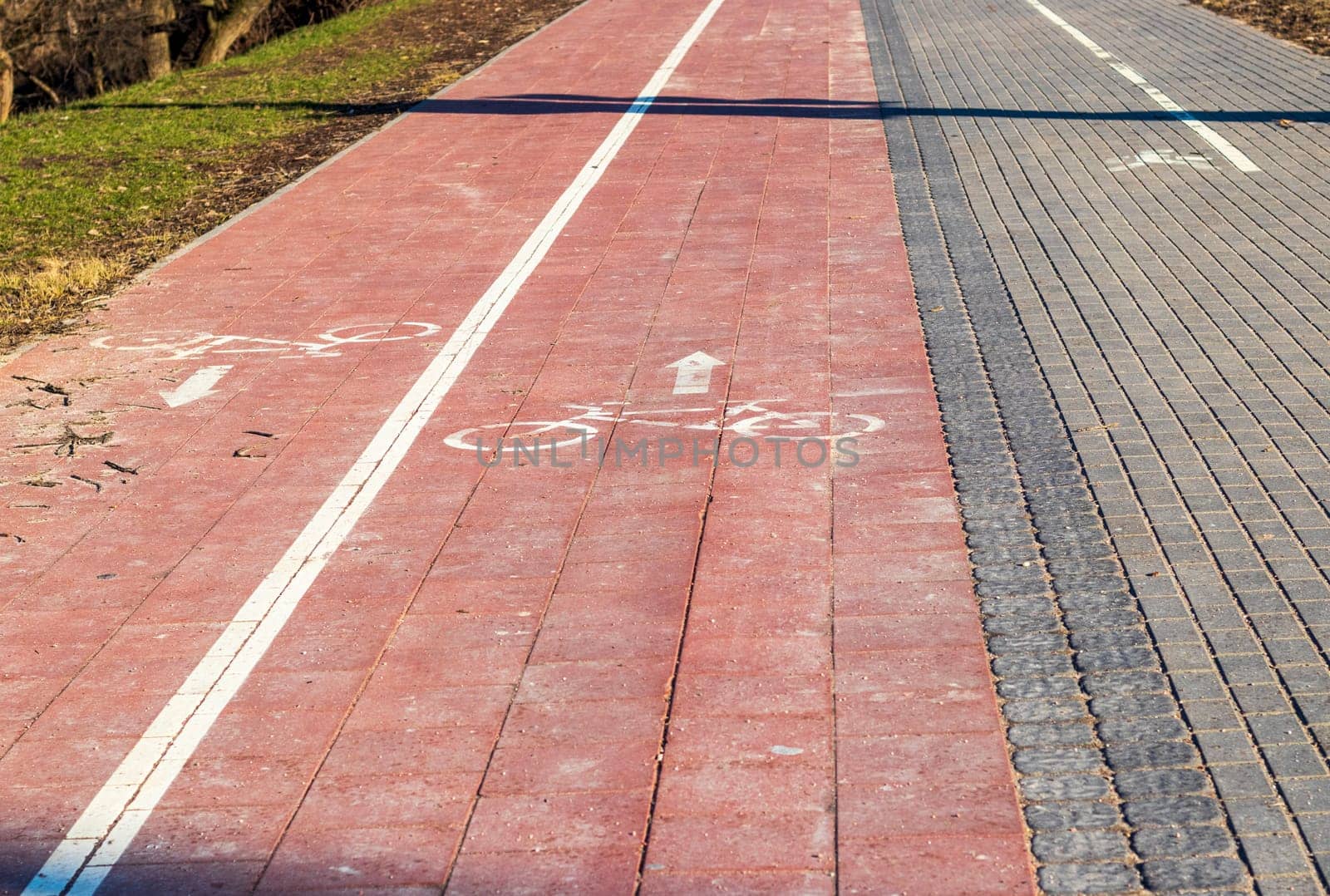 Jogging, walking, cycling path in the park