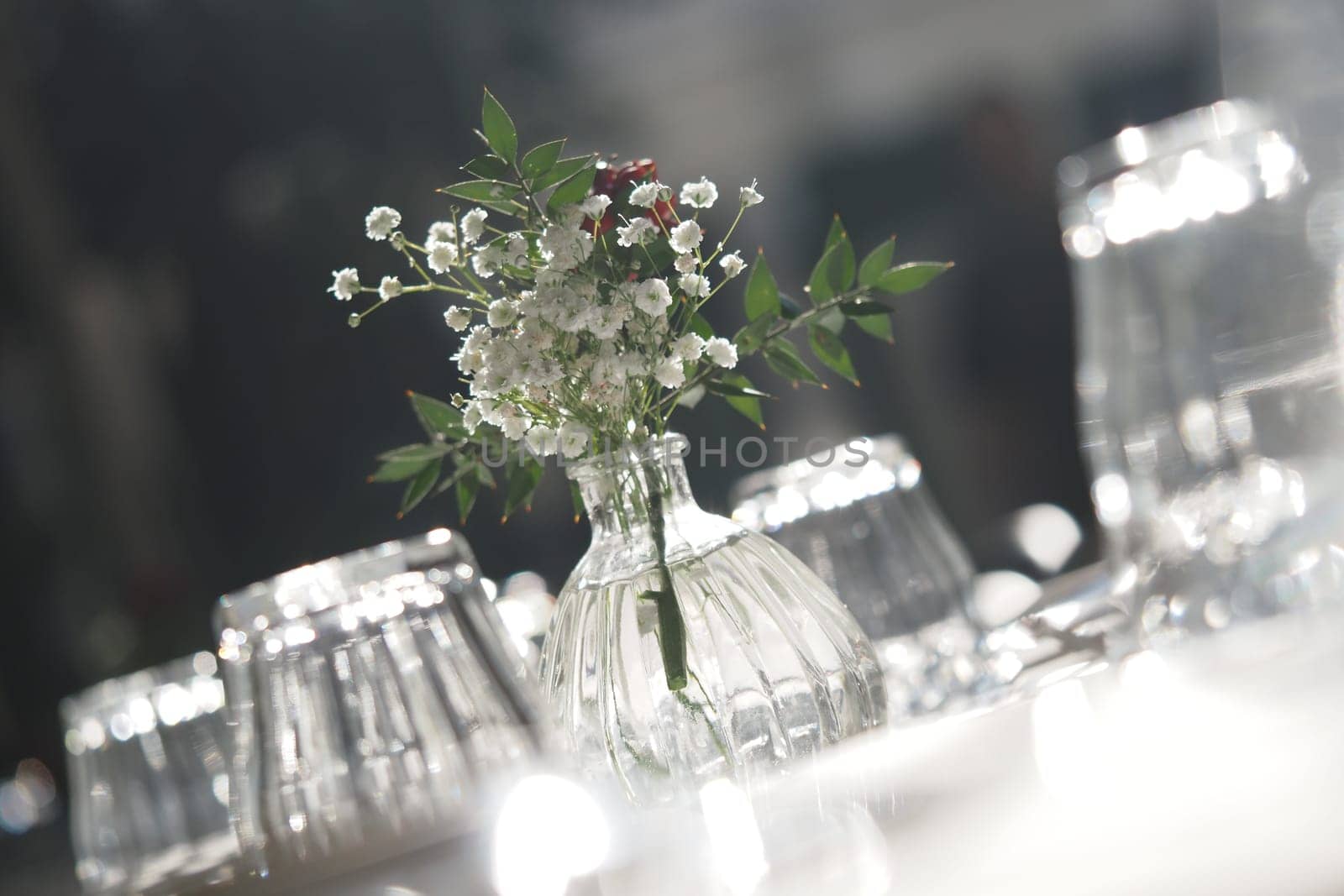 A delicate flower vase centers the dining table, reflecting warm sunlight.