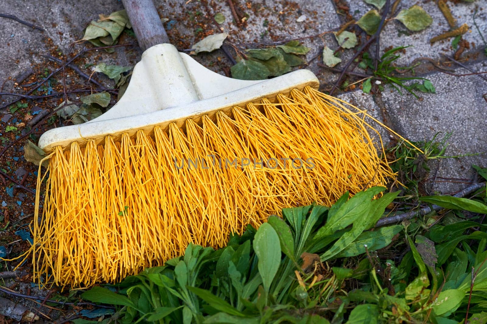 an implement consisting of a sponge or a bundle of thick loose strings attached to a handle