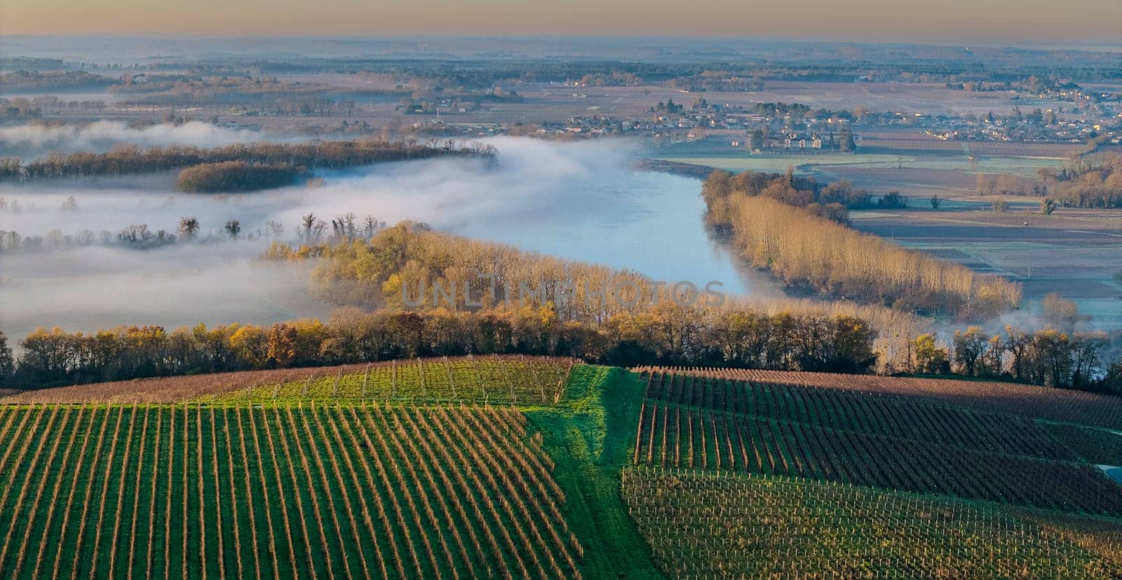 France, Gironde, Langoiran, Aerial view of Premieres Cotes de Bordeaux vineyard in Entre-Deux-Mers, Bordeaux vineyard at sunrise with fog over the Garonne river. High quality photo