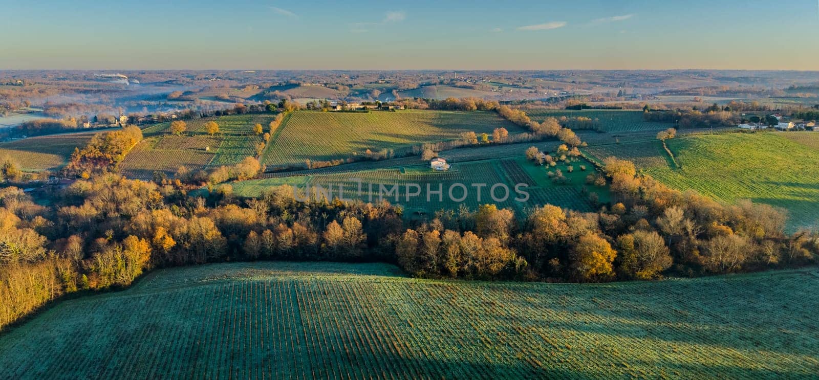France, Gironde, Langoiran, Aerial view of Premieres Cotes de Bordeaux vineyard in Entre-Deux-Mers, Bordeaux vineyard at sunrise with fog over the Garonne river. High quality photo