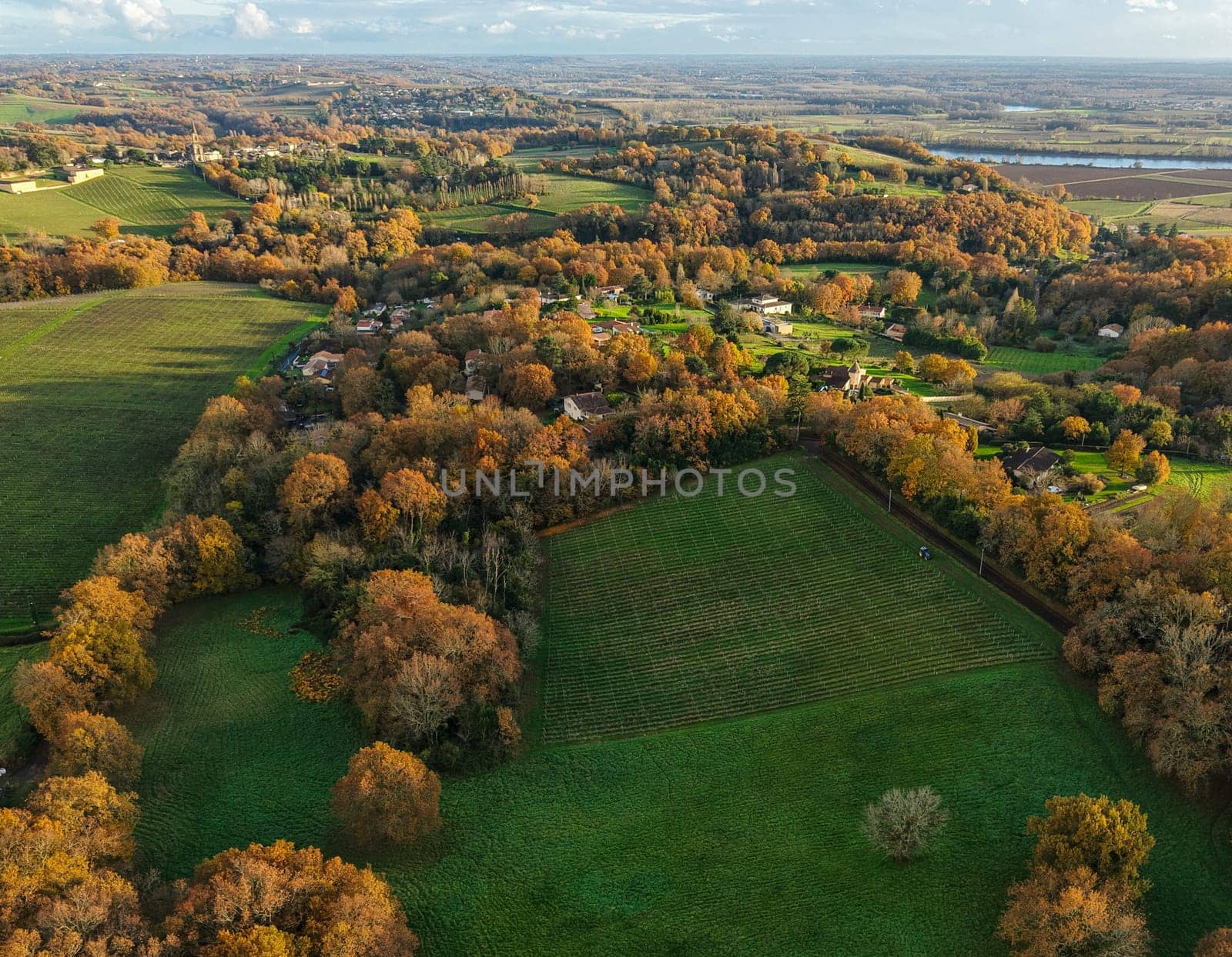 France, Gironde, Tabanac, Aerial view of the vineyard and wooded areas of Chateau le Pic in the Bordeaux vineyards at sunset. High quality photo