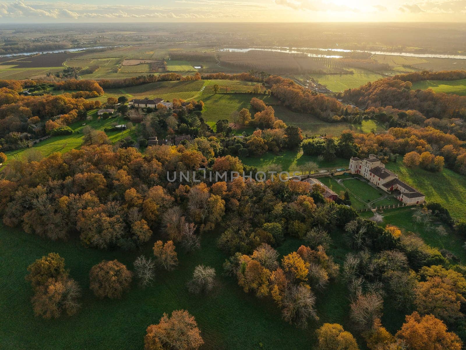 France, Gironde, Tabanac, Aerial view of the vineyard and wooded areas of Chateau le Pic in the Bordeaux vineyards at sunset. High quality photo