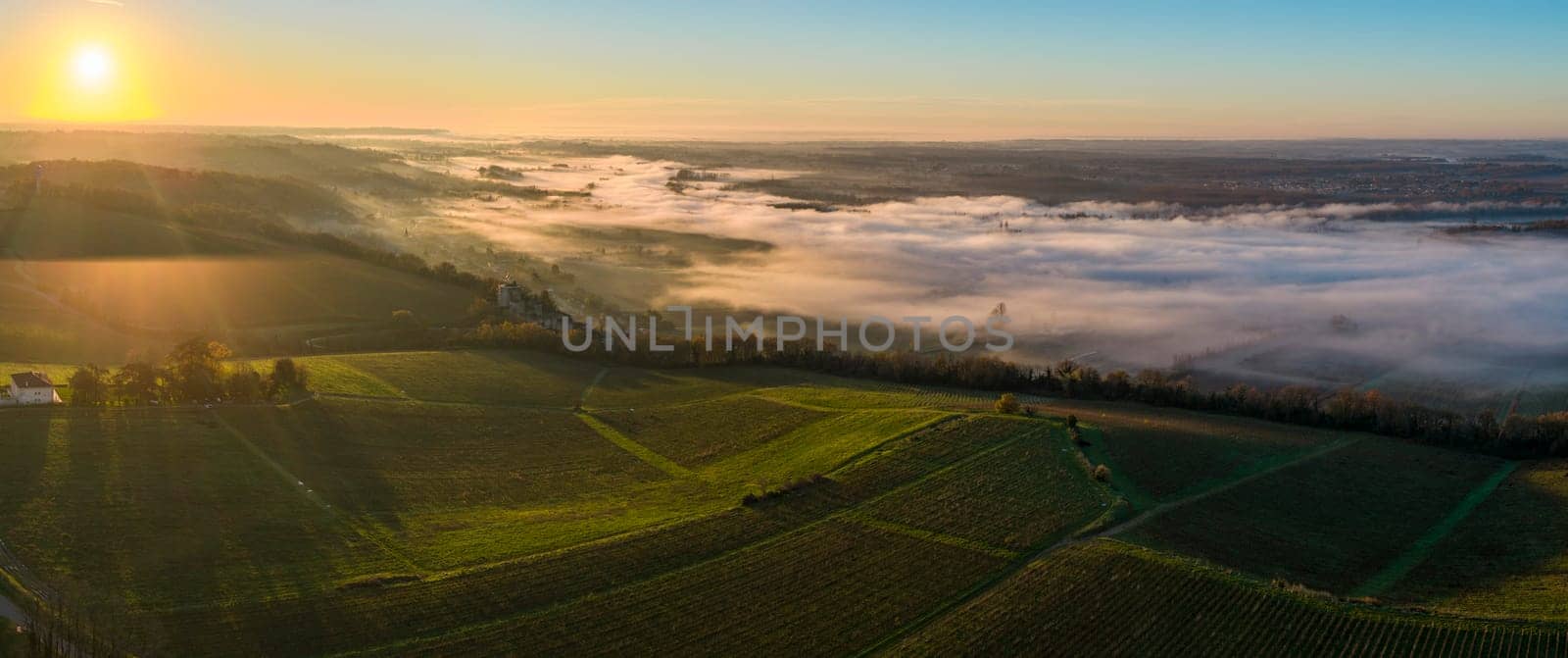 France, Gironde, Langoiran, Aerial view of Premieres Cotes de Bordeaux vineyard in Entre-Deux-Mers, Bordeaux vineyard at sunrise with fog over the Garonne river. High quality photo