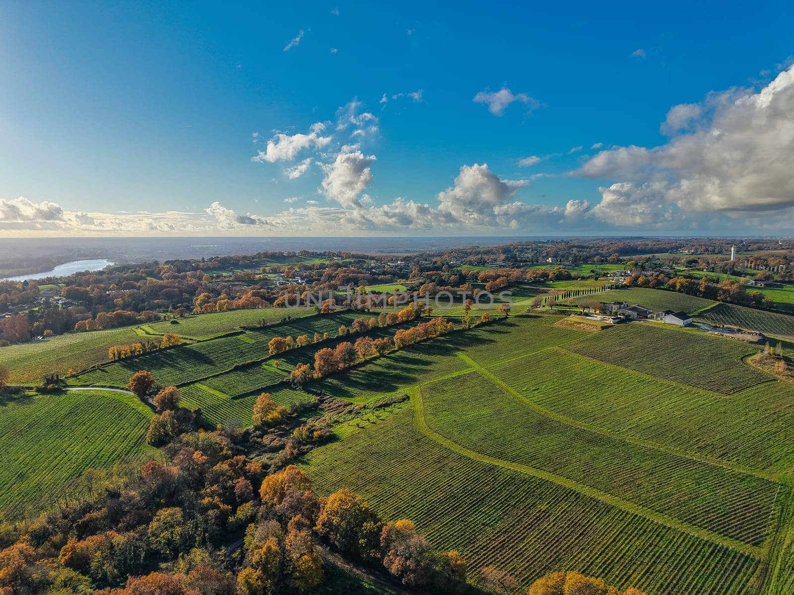France, Gironde, Tabanac, Aerial view of the vineyard and wooded areas of Chateau le Pic in the Bordeaux vineyards at sunset. High quality photo