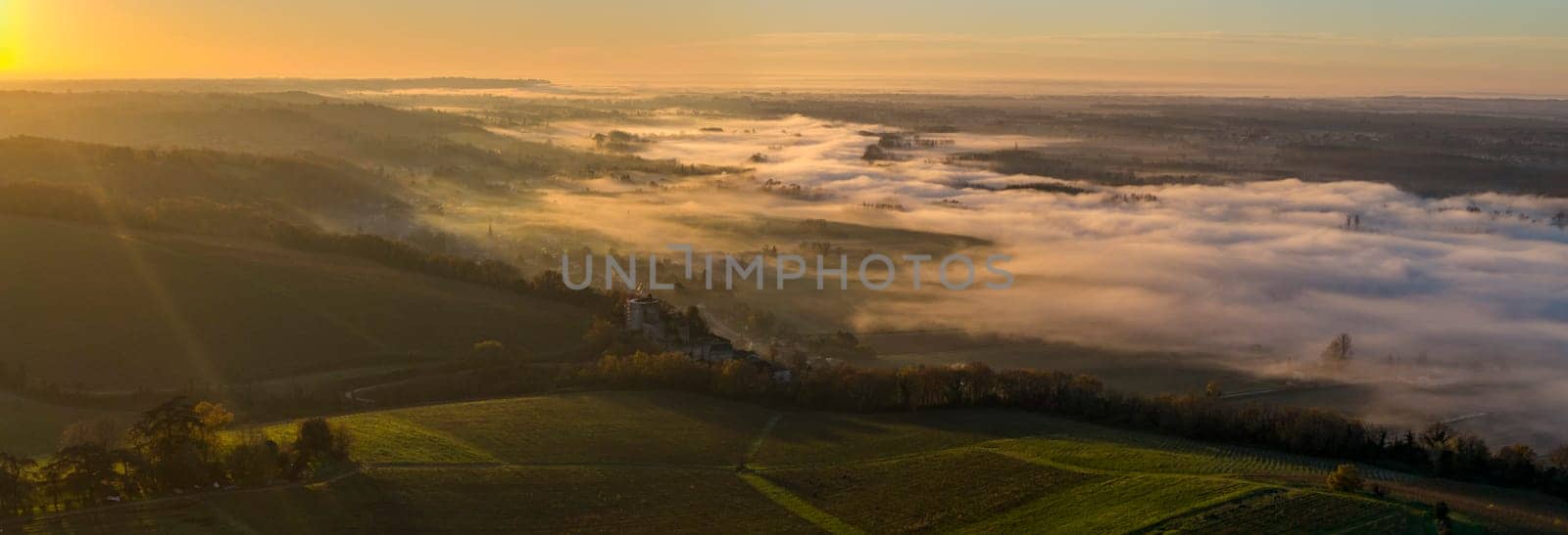 France, Gironde, Langoiran, Aerial view of Premieres Cotes de Bordeaux vineyard in Entre-Deux-Mers, Bordeaux vineyard at sunrise with fog over the Garonne river. High quality photo